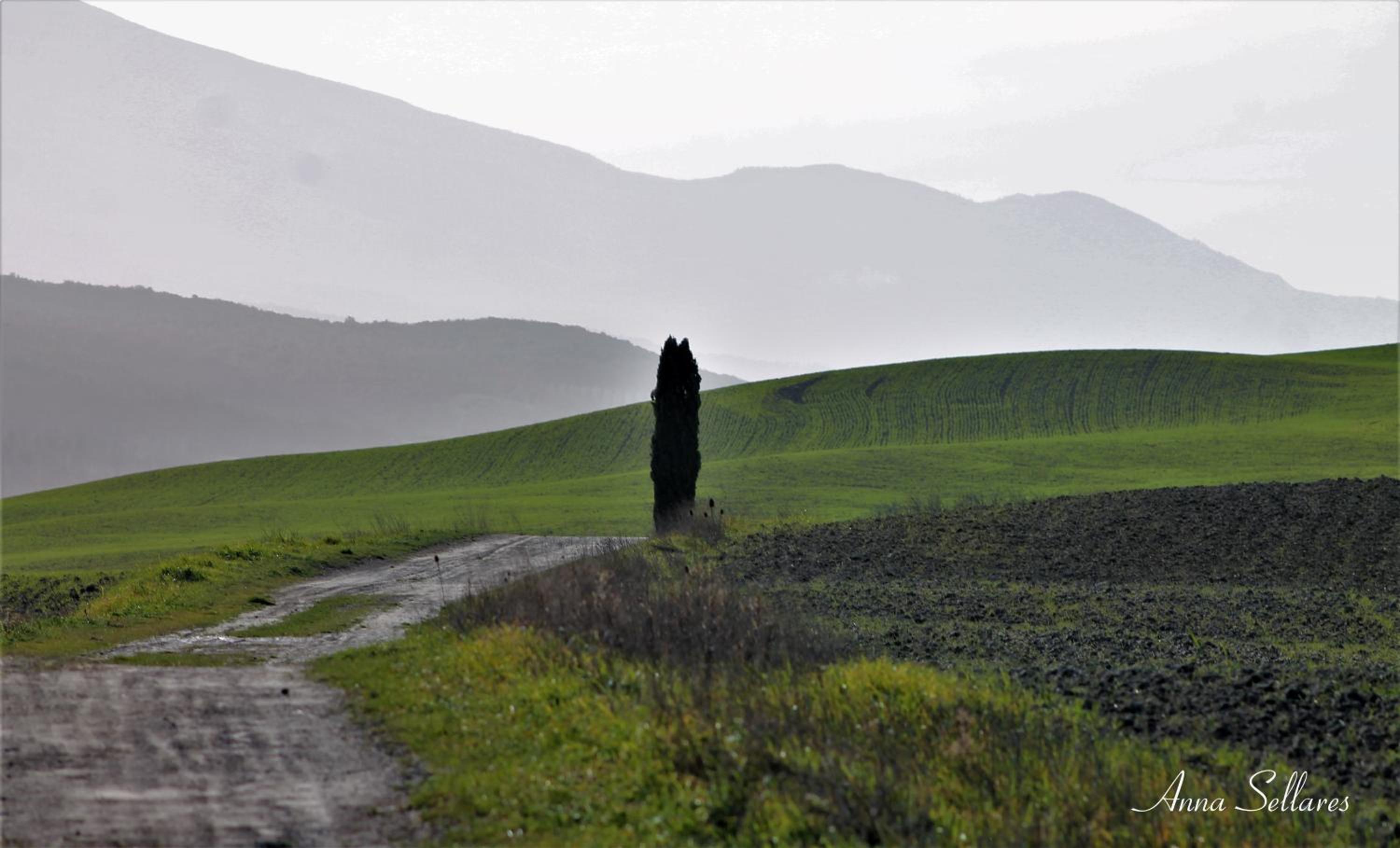 SoleLuna