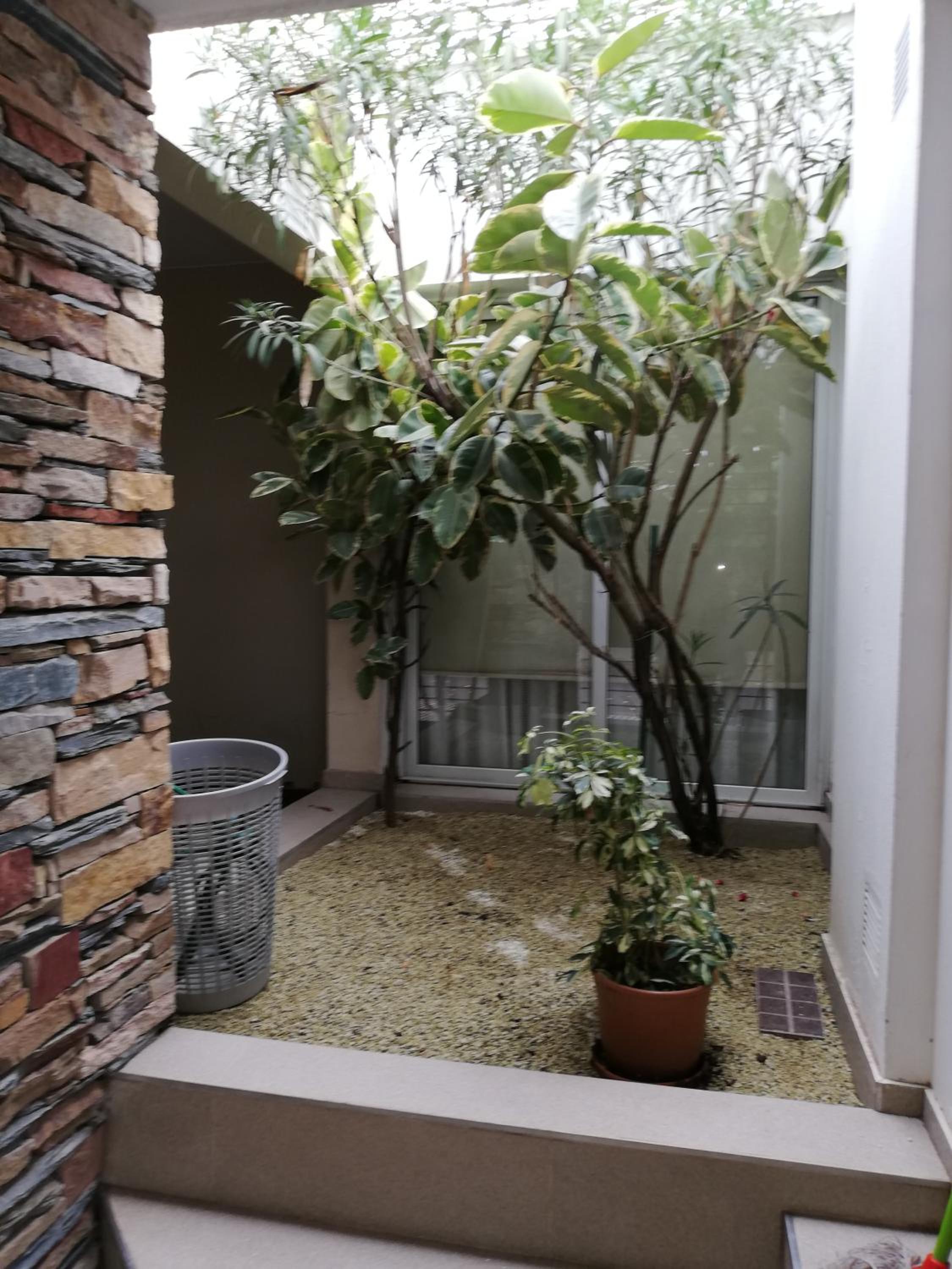 Santa Rosa