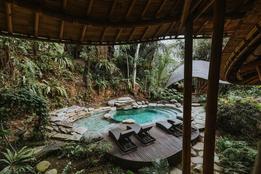 Sharma Springs 5 bds Luxurious Bamboo Mansion Pool view 2