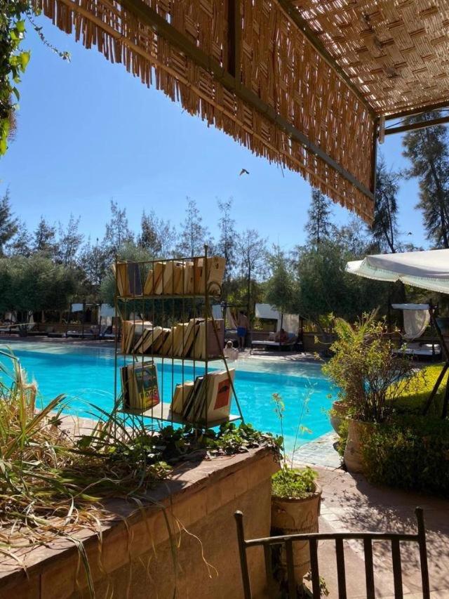 Manzil La Tortue view 4