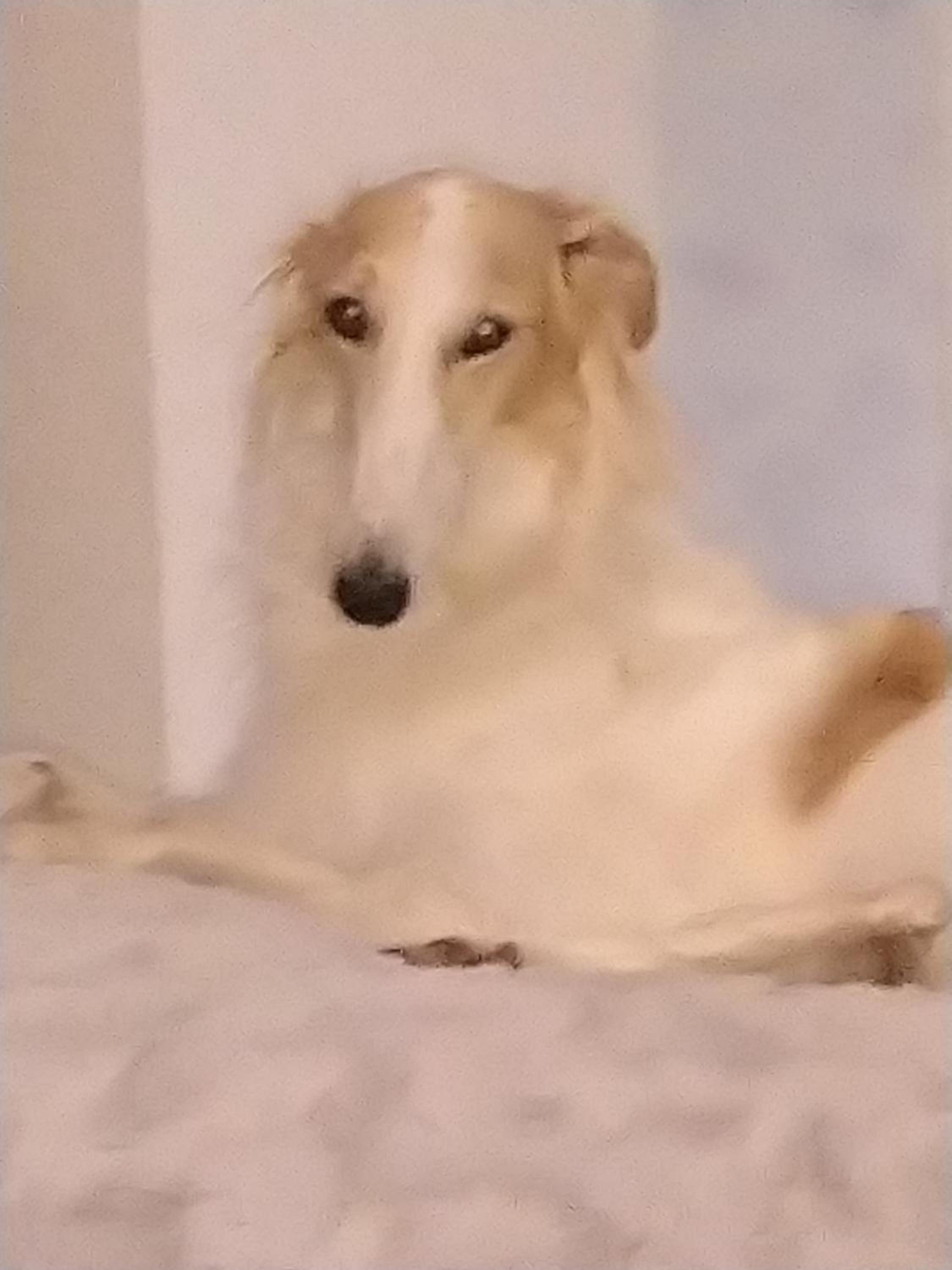 Swiss Borzoi House