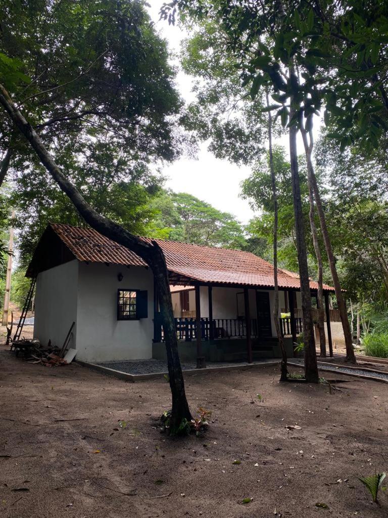 Chalé Trem da Mata
