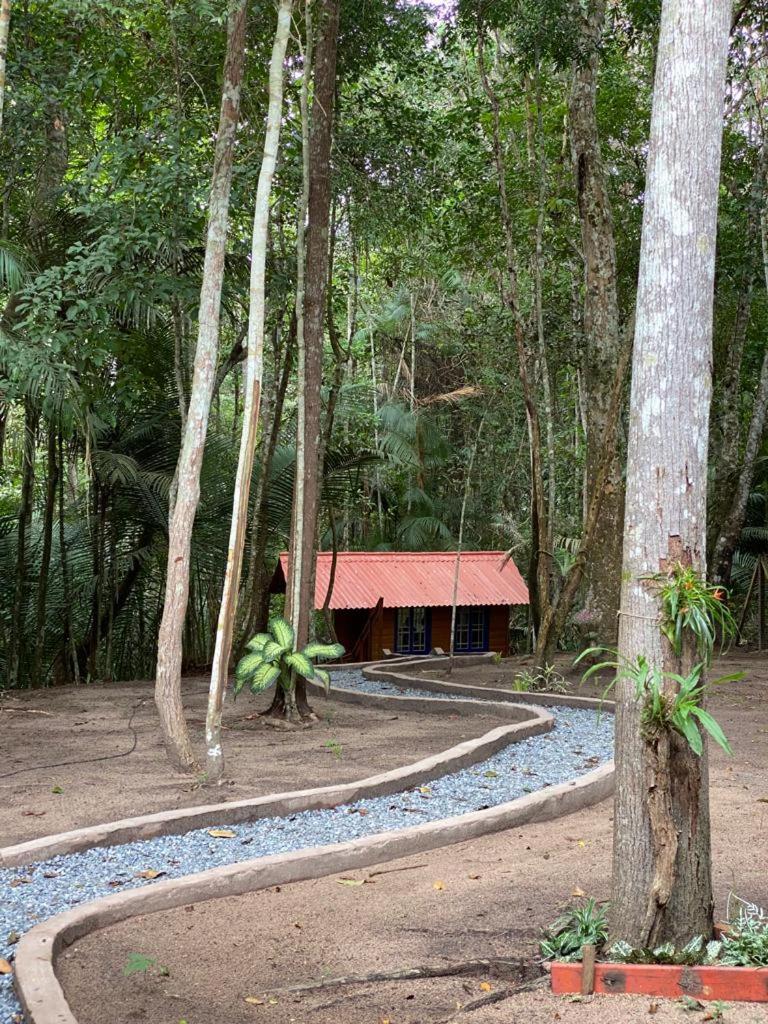 Chalé Trem da Mata