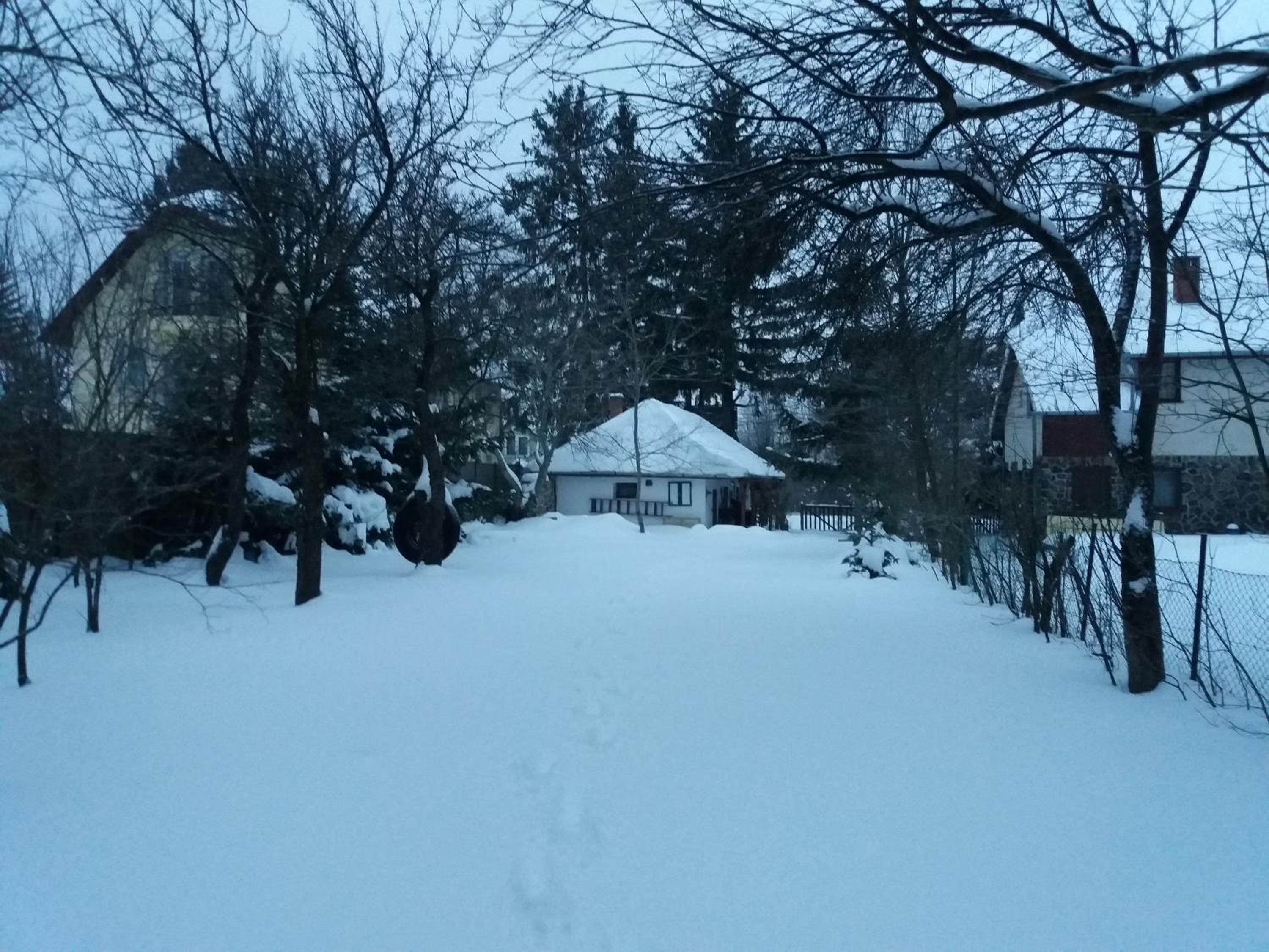 Photo 18