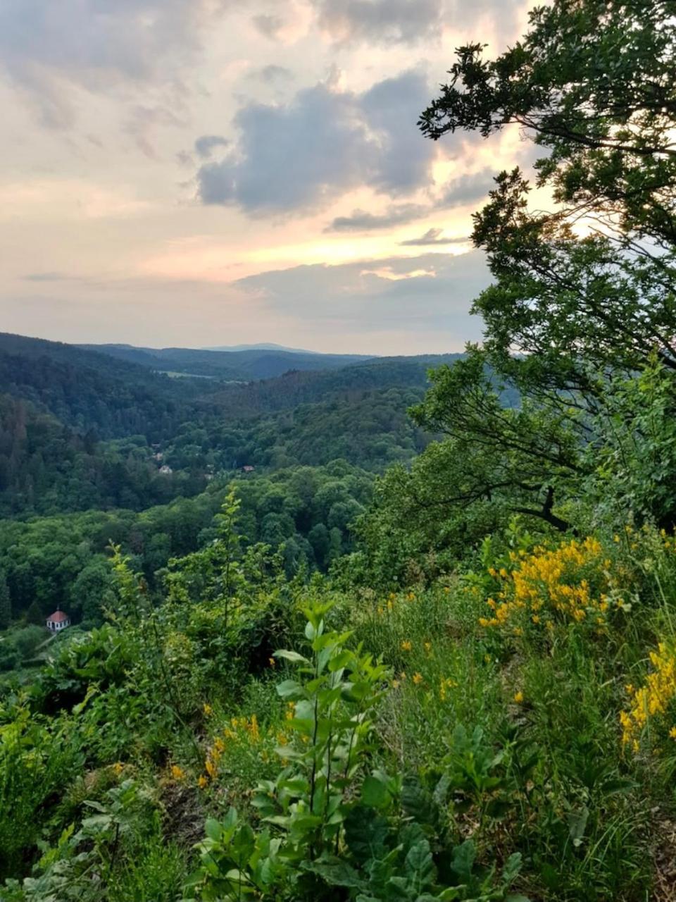 Bergcafé Mendorf view 4