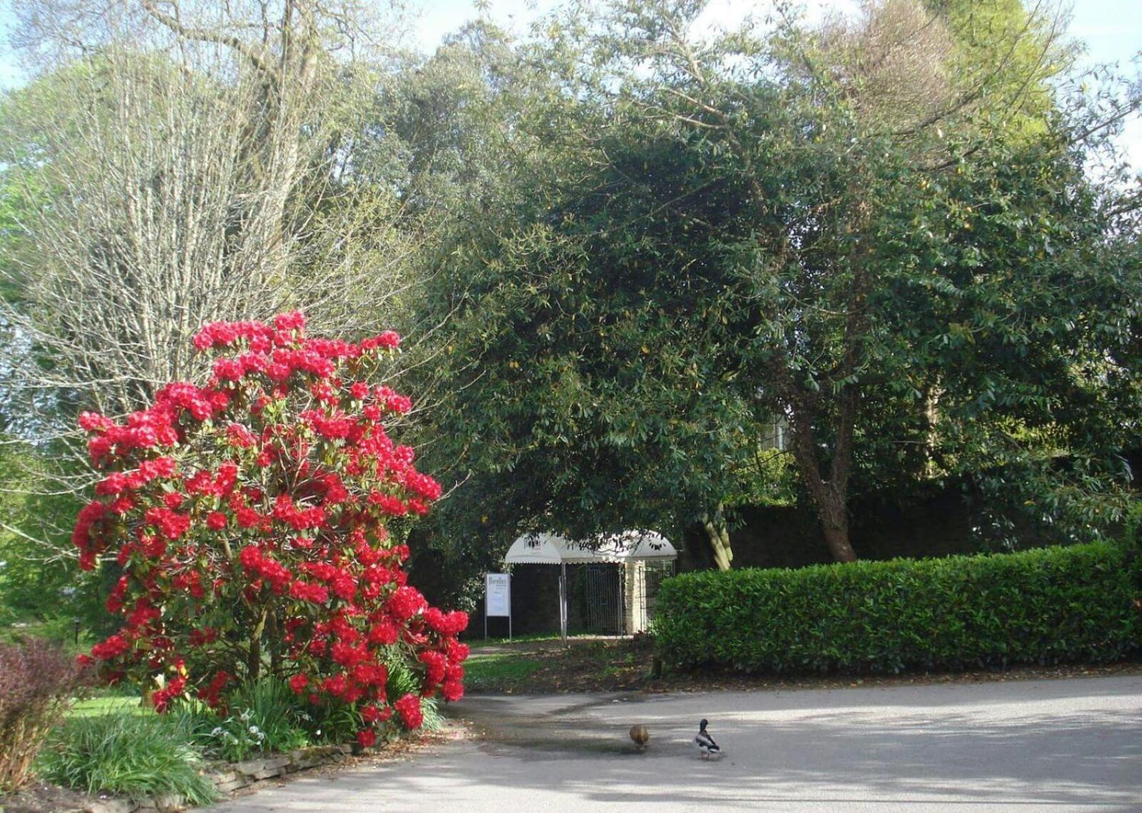 Photo 16