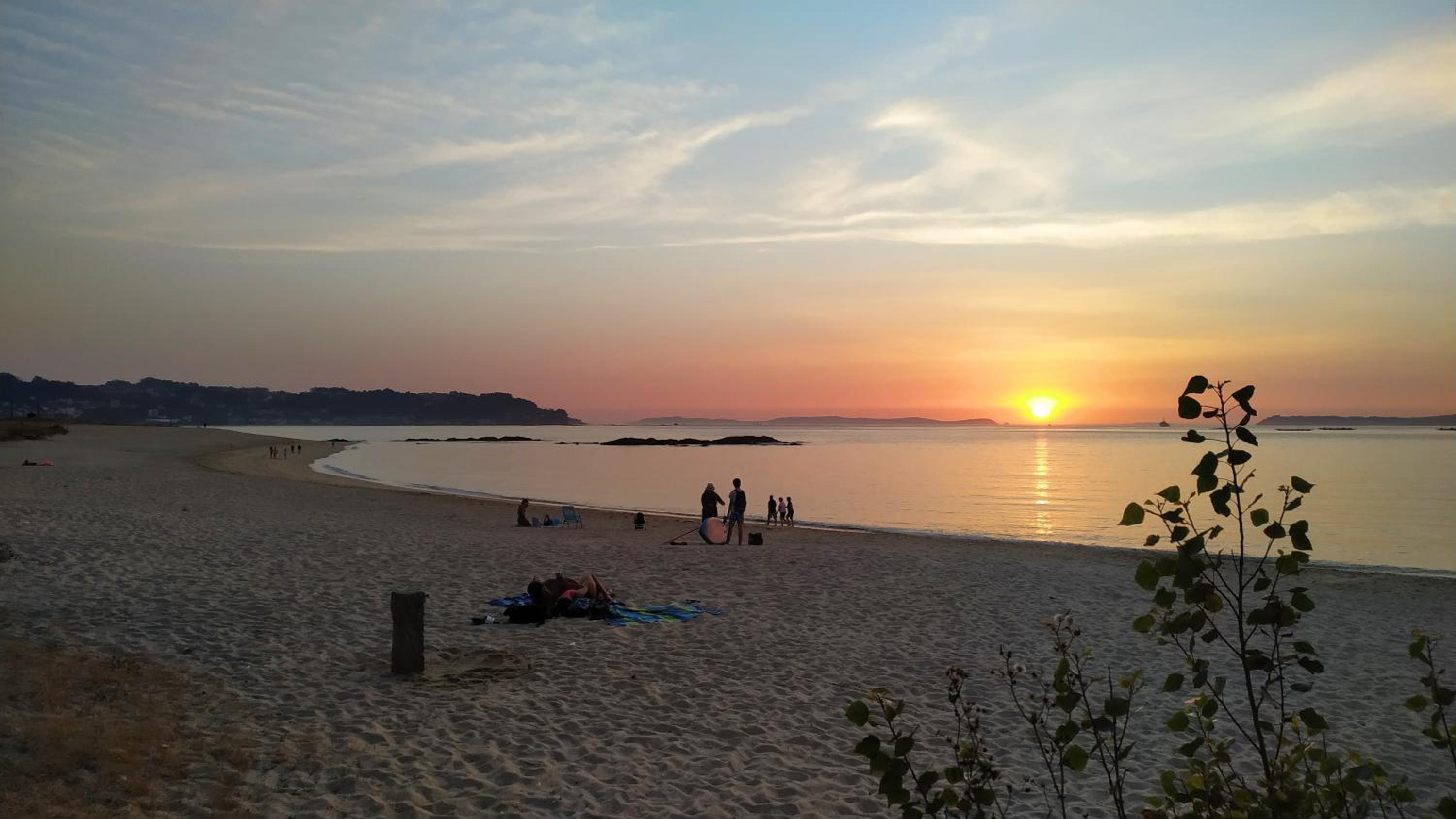 human
