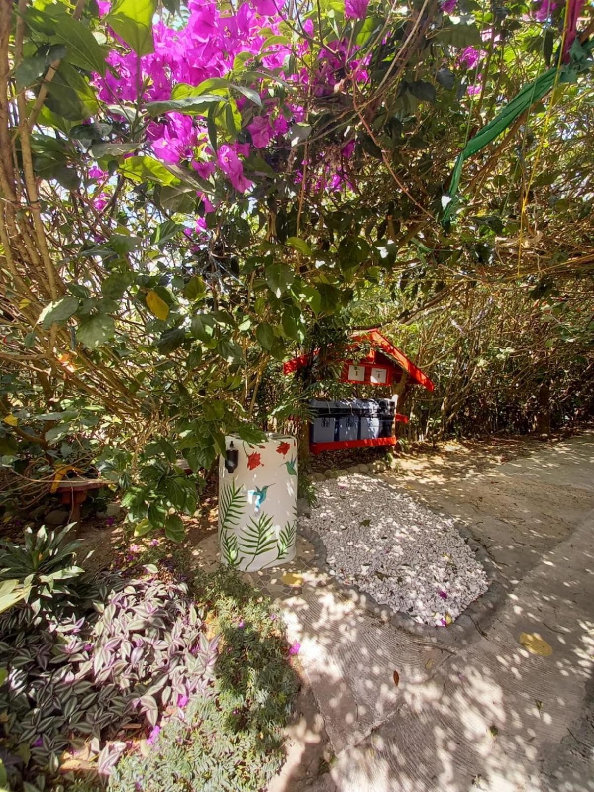 Pensión y Cabinas Colibrí B&B Costa Rica