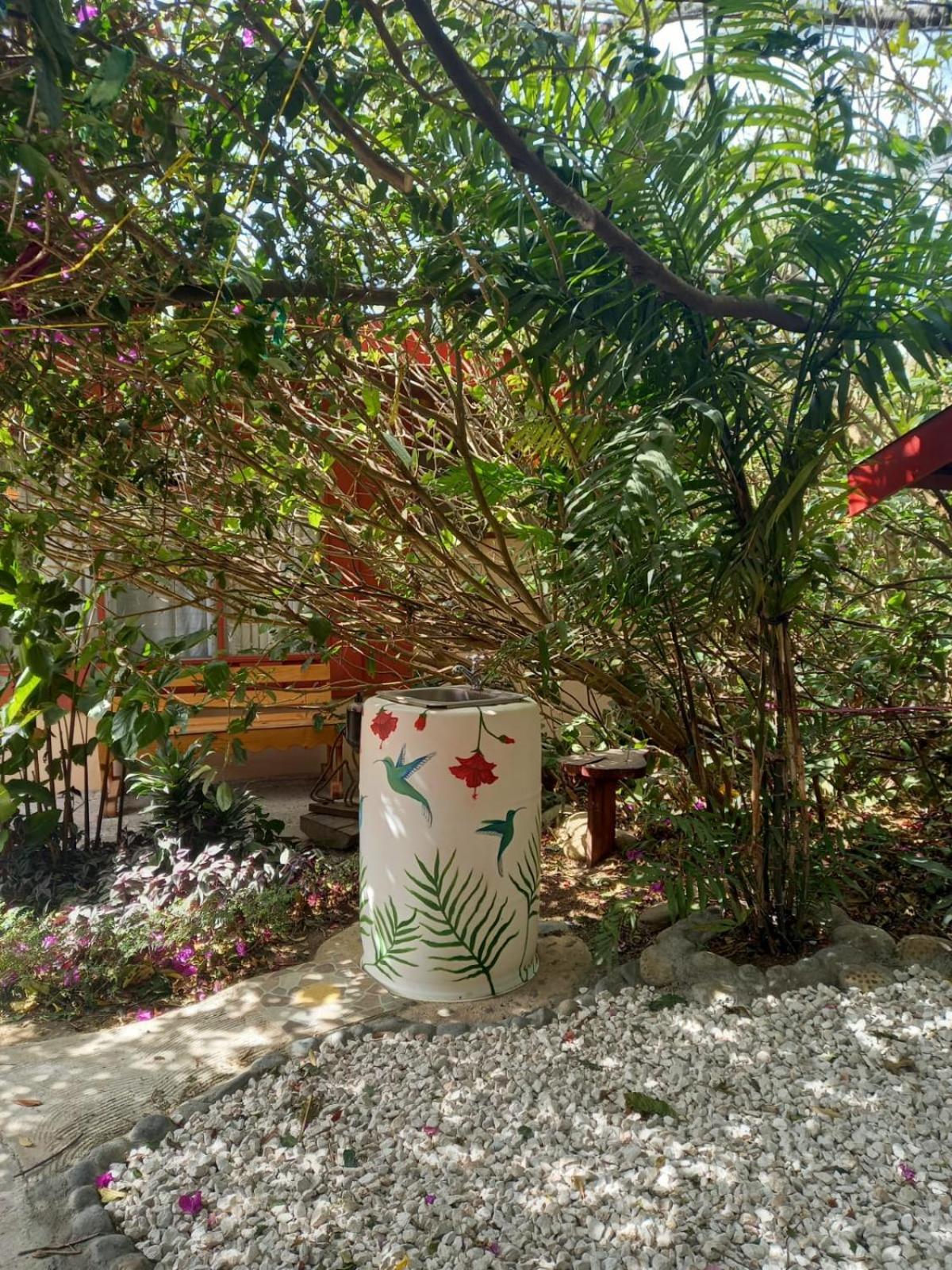 Pensión y Cabinas Colibrí B&B Costa Rica