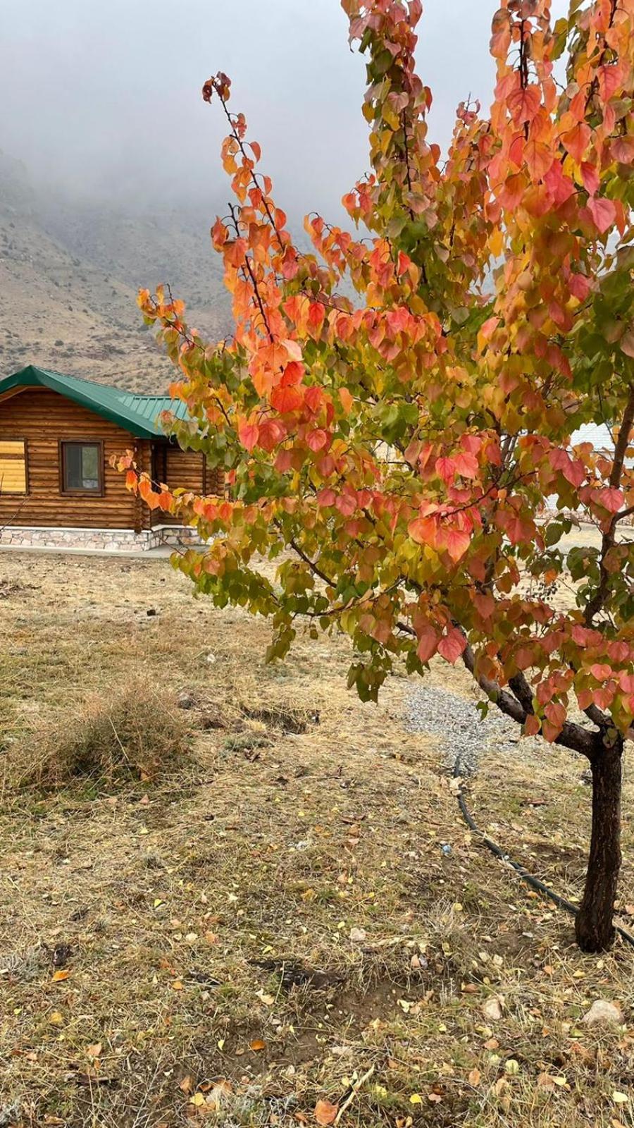 Wooden House in WildLife Refuge