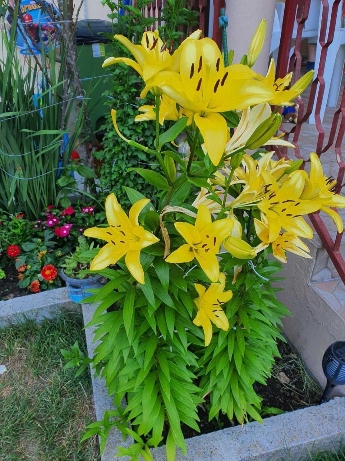 Photo 28