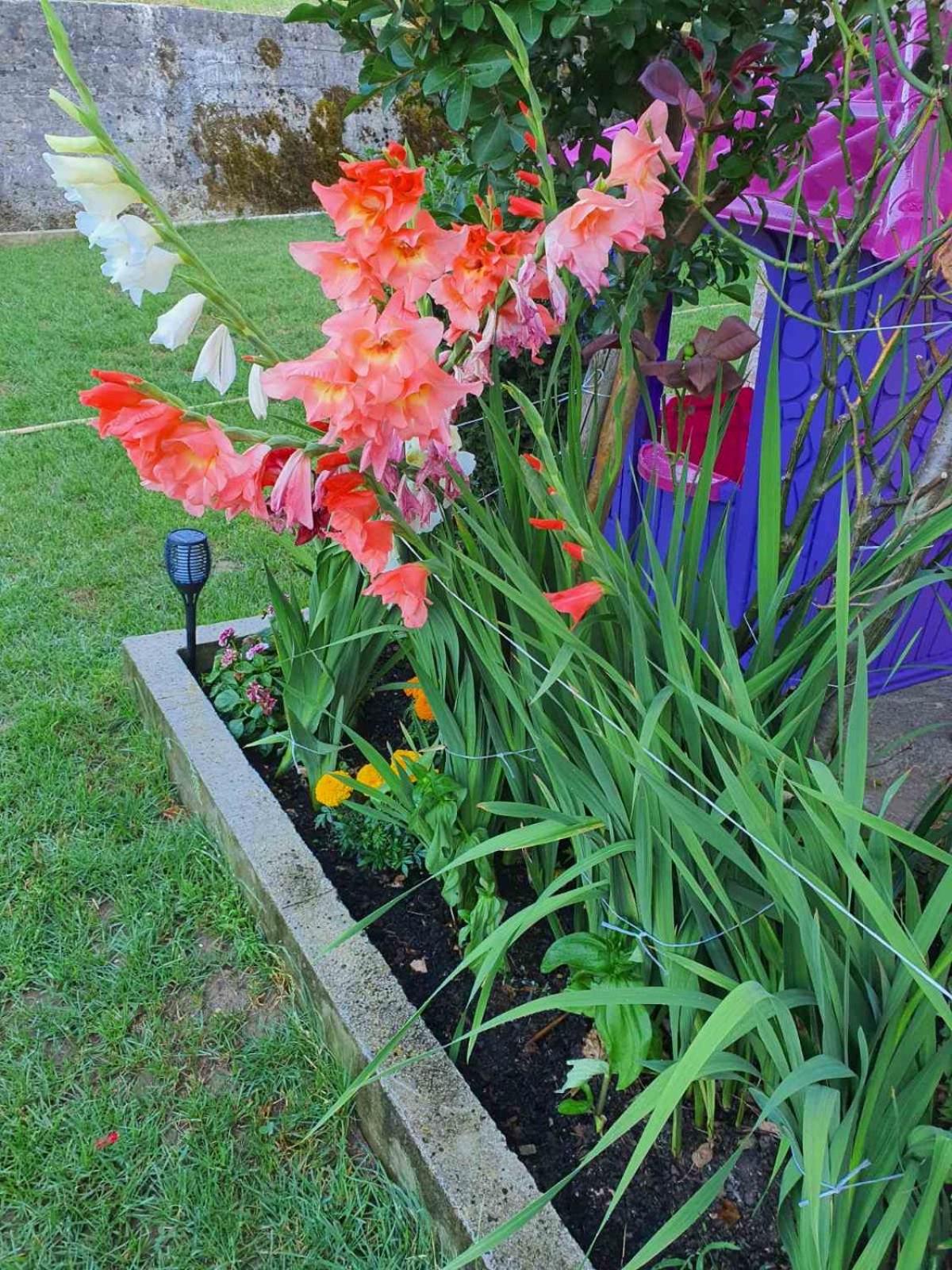 Photo 27