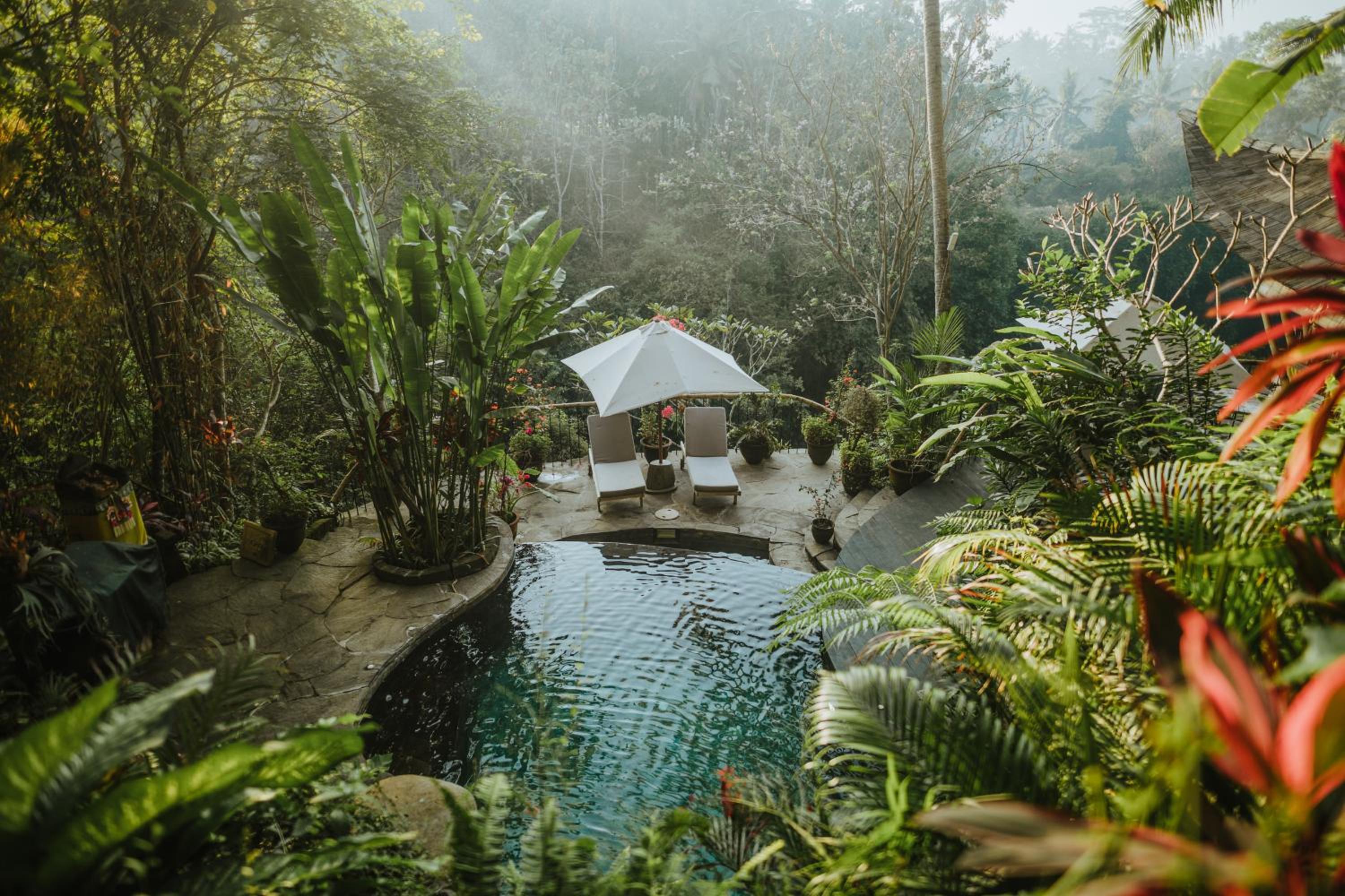 Ananda House 3bds Eco Bamboo House Pool River View view 2