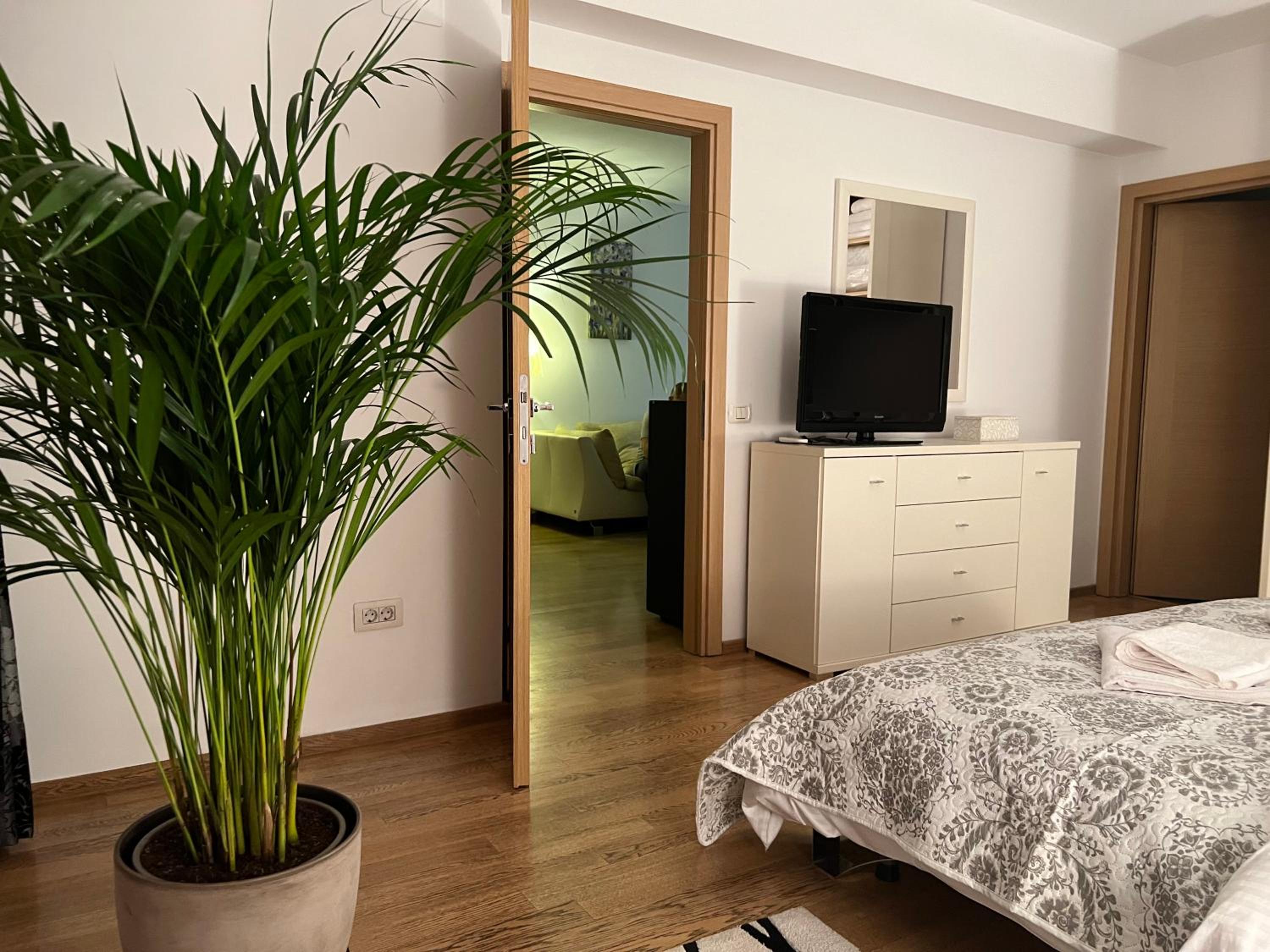 Herastrau Park Apartment view 4