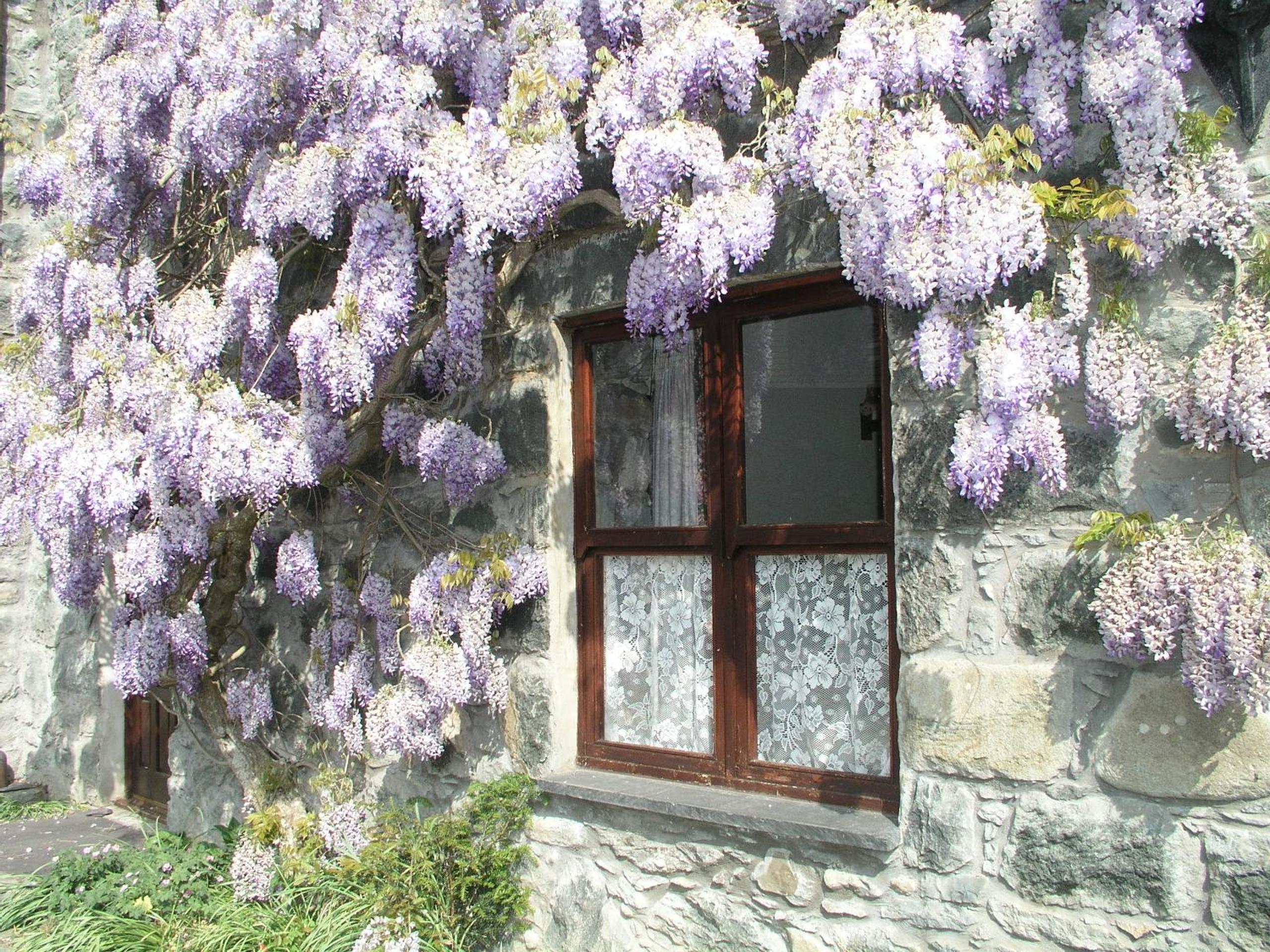Conwy Valley Cottages