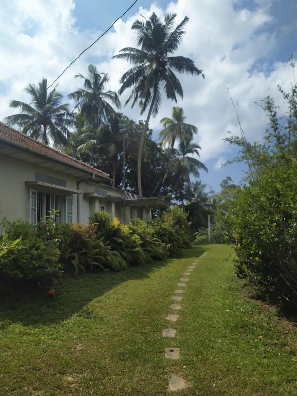 Photo 28
