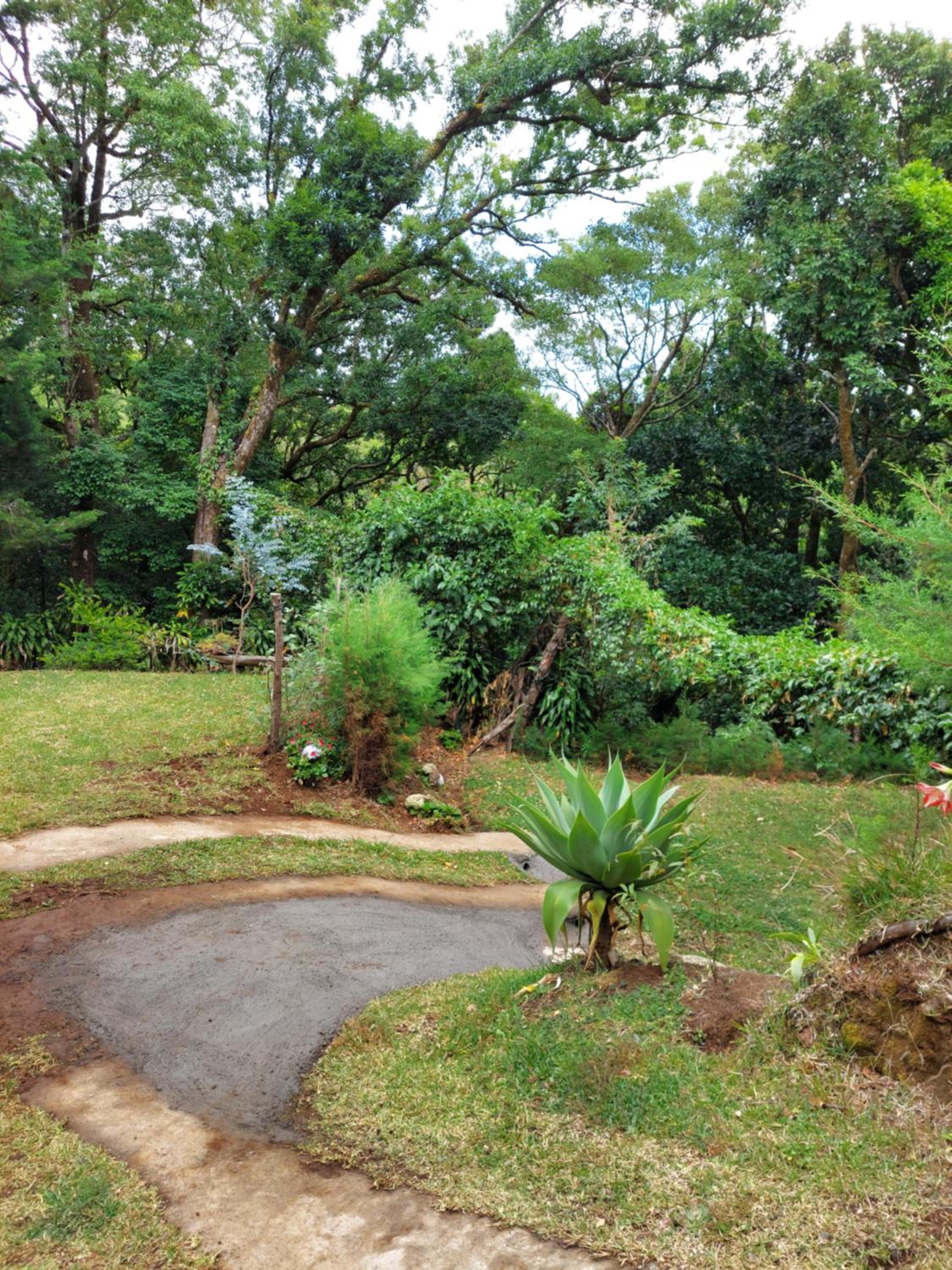 Cabaña de montaña Queca view 5