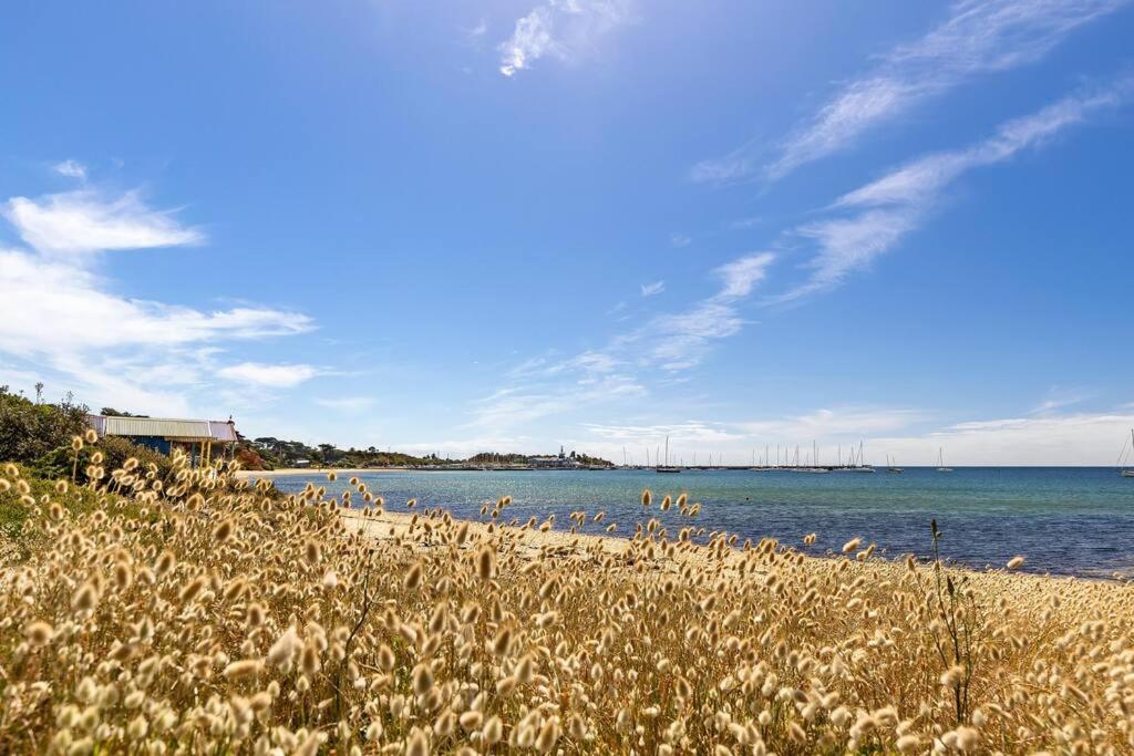 Sea Grange - harbour views, prime location