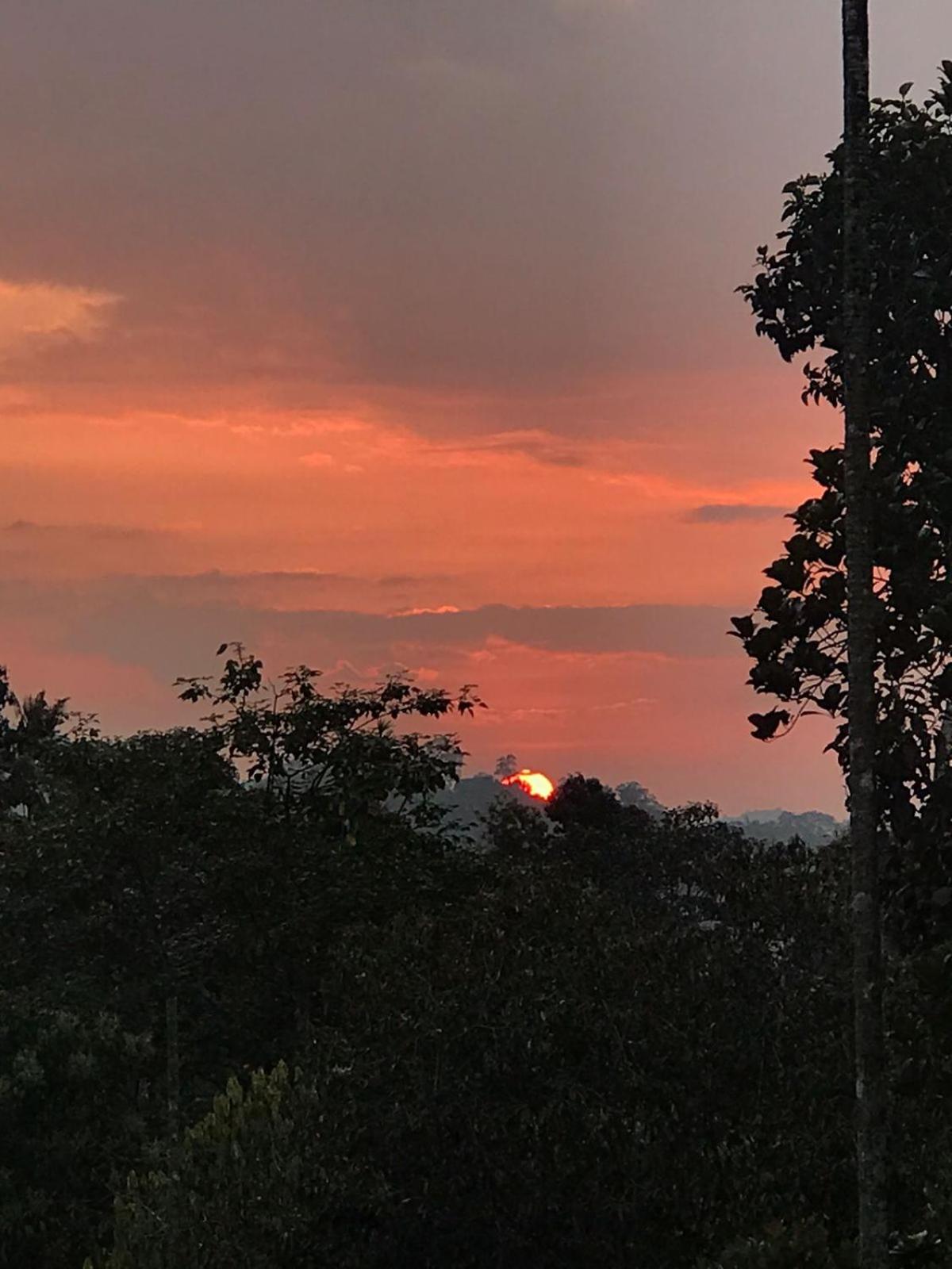Munnar Hills Homestay view 4