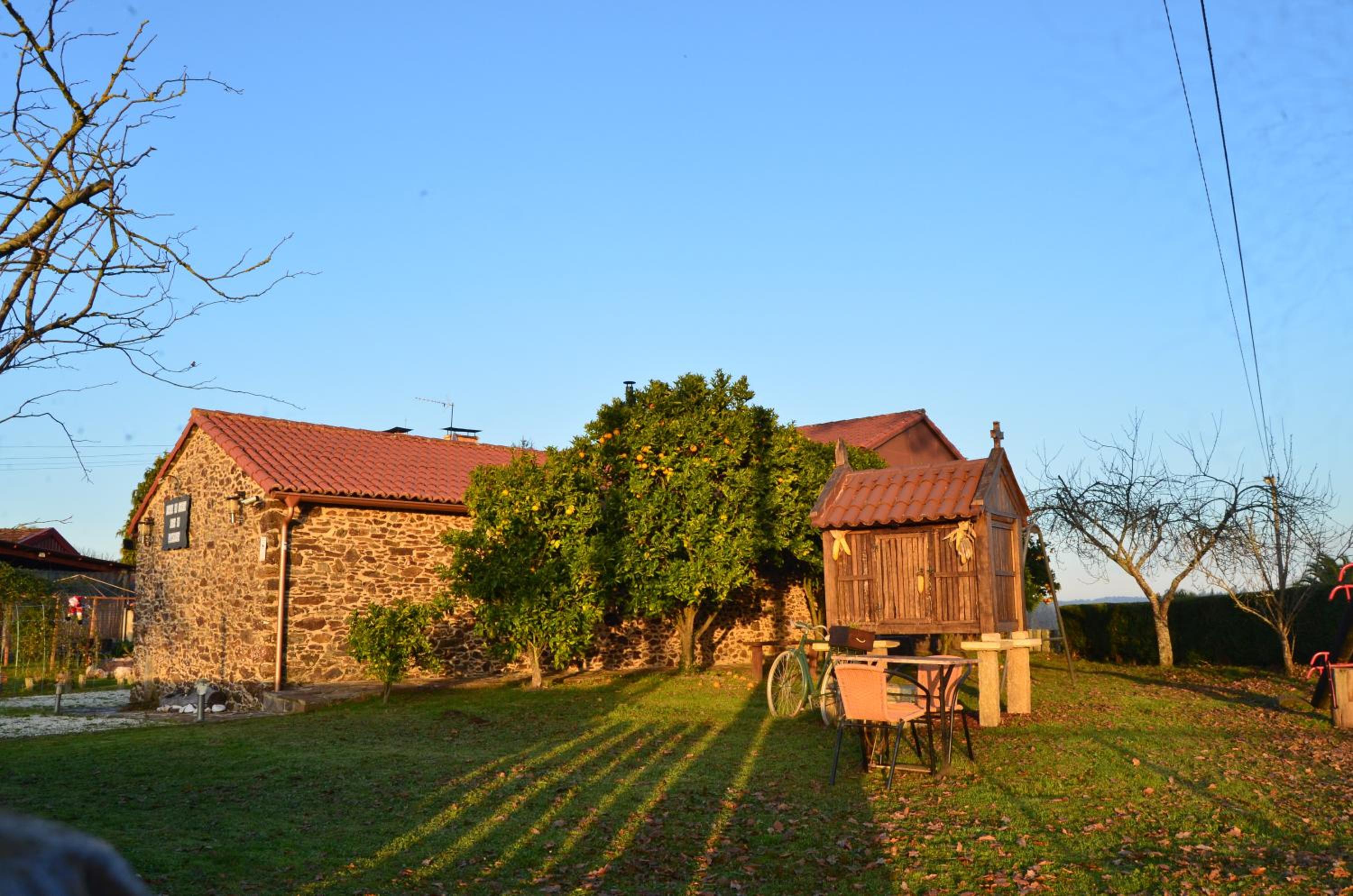 Photo 43
