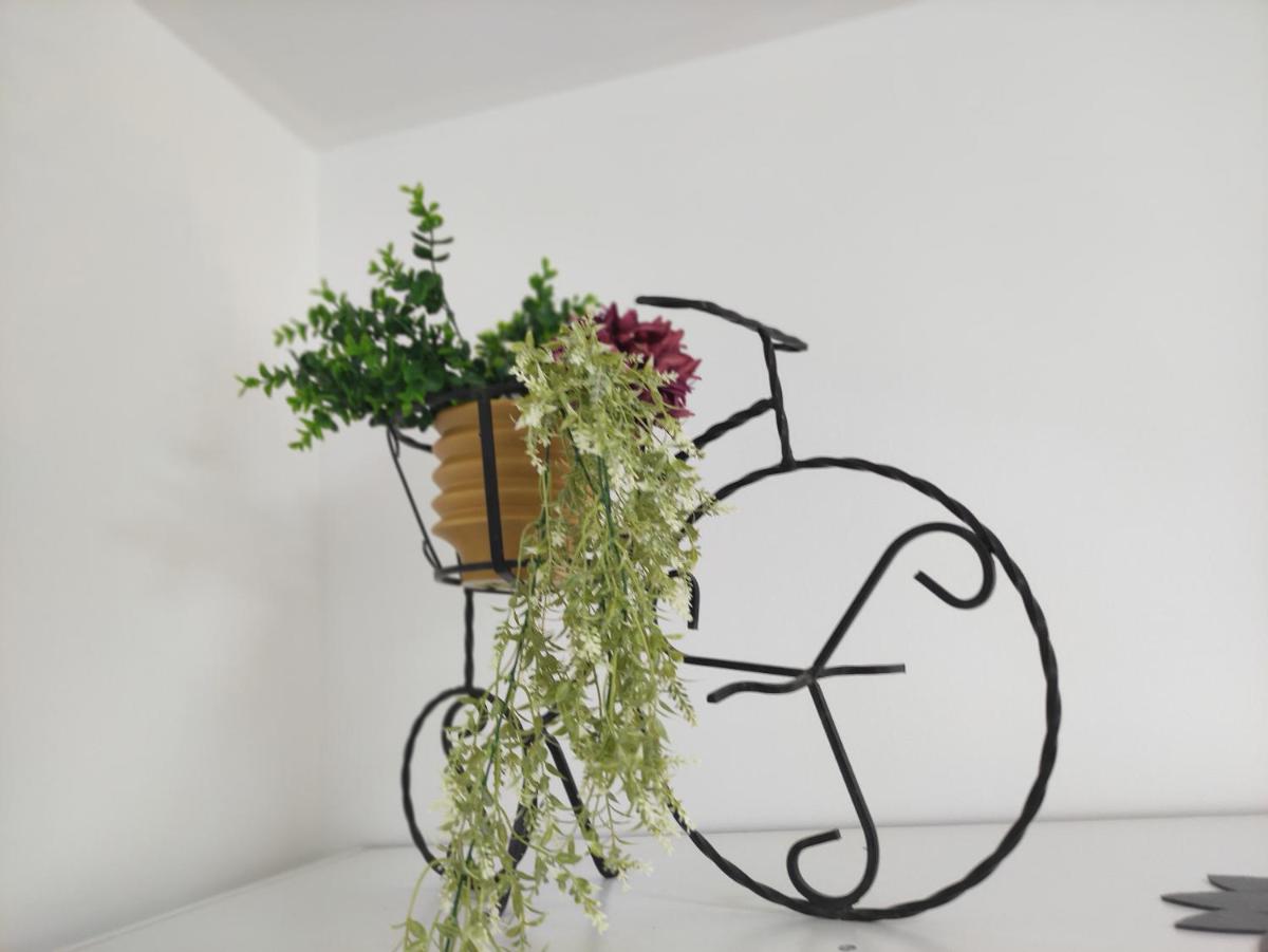 Apartman Iris s terasom view 4