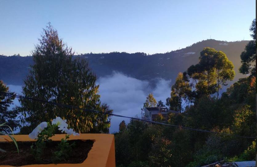 Photo 52