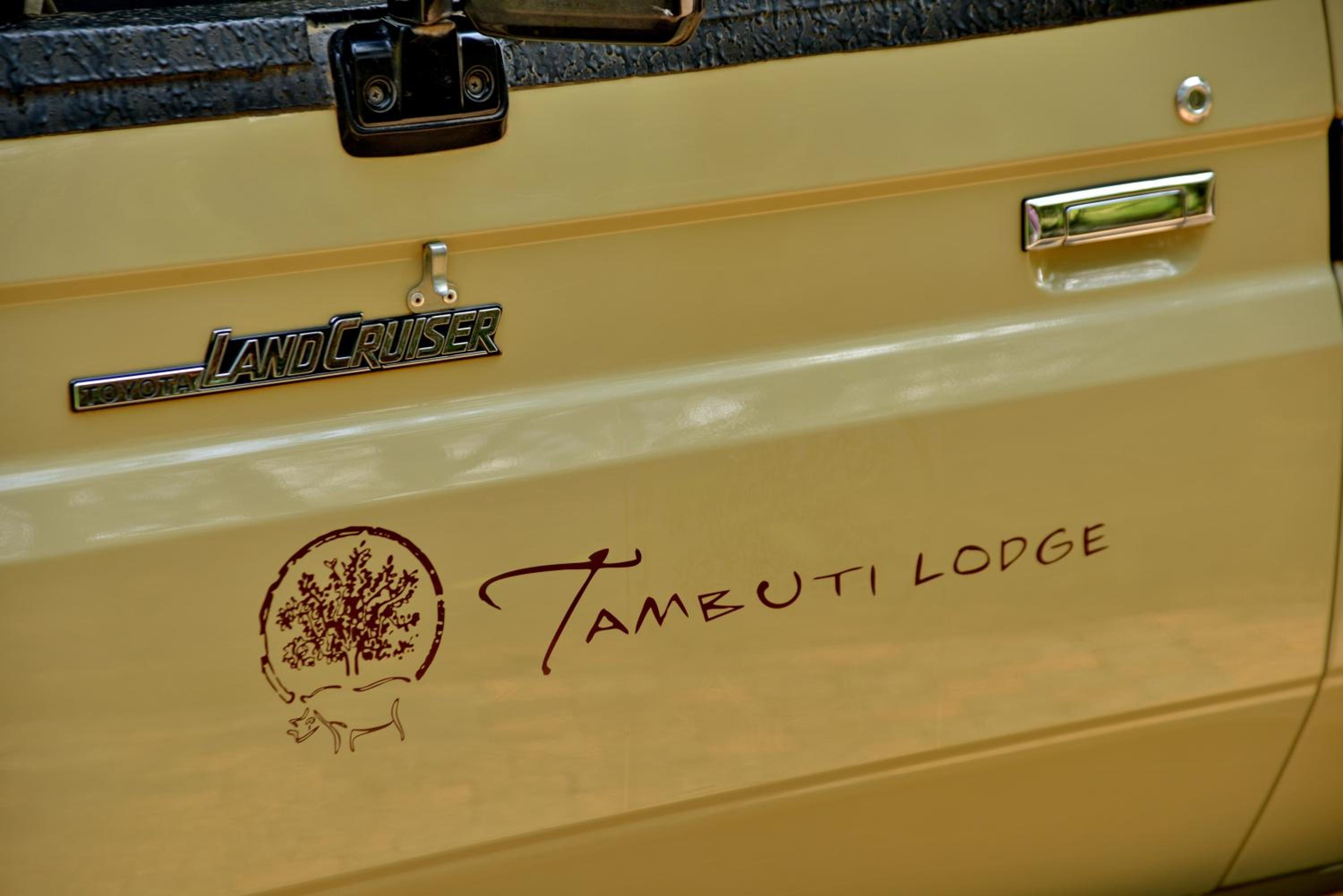 Tambuti Lodge