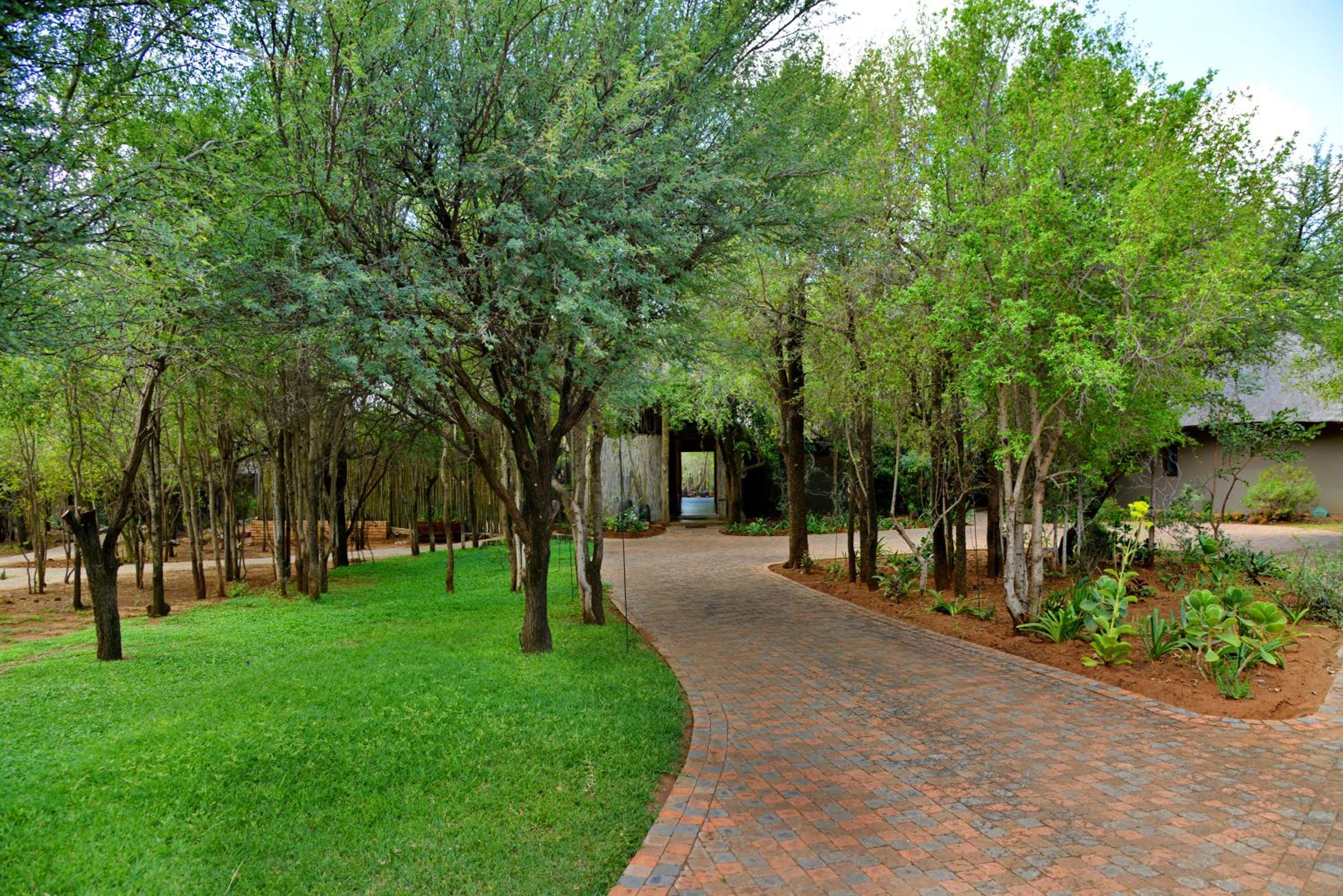Tambuti Lodge