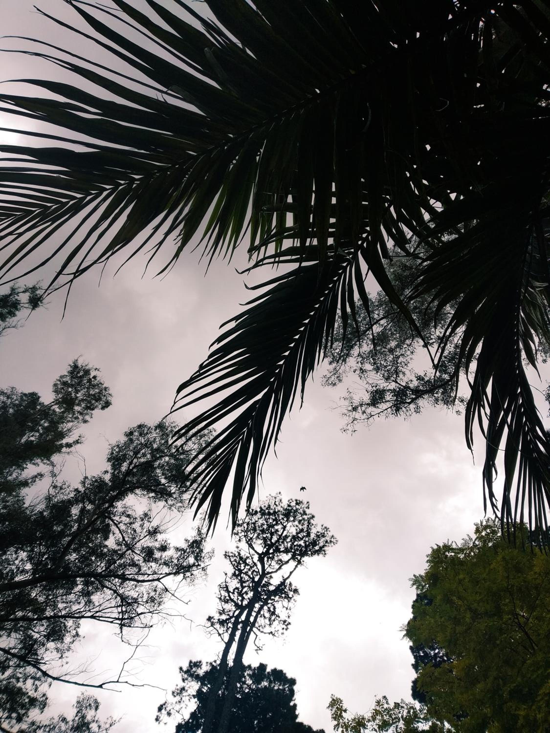 Casa Tierra de Bosque