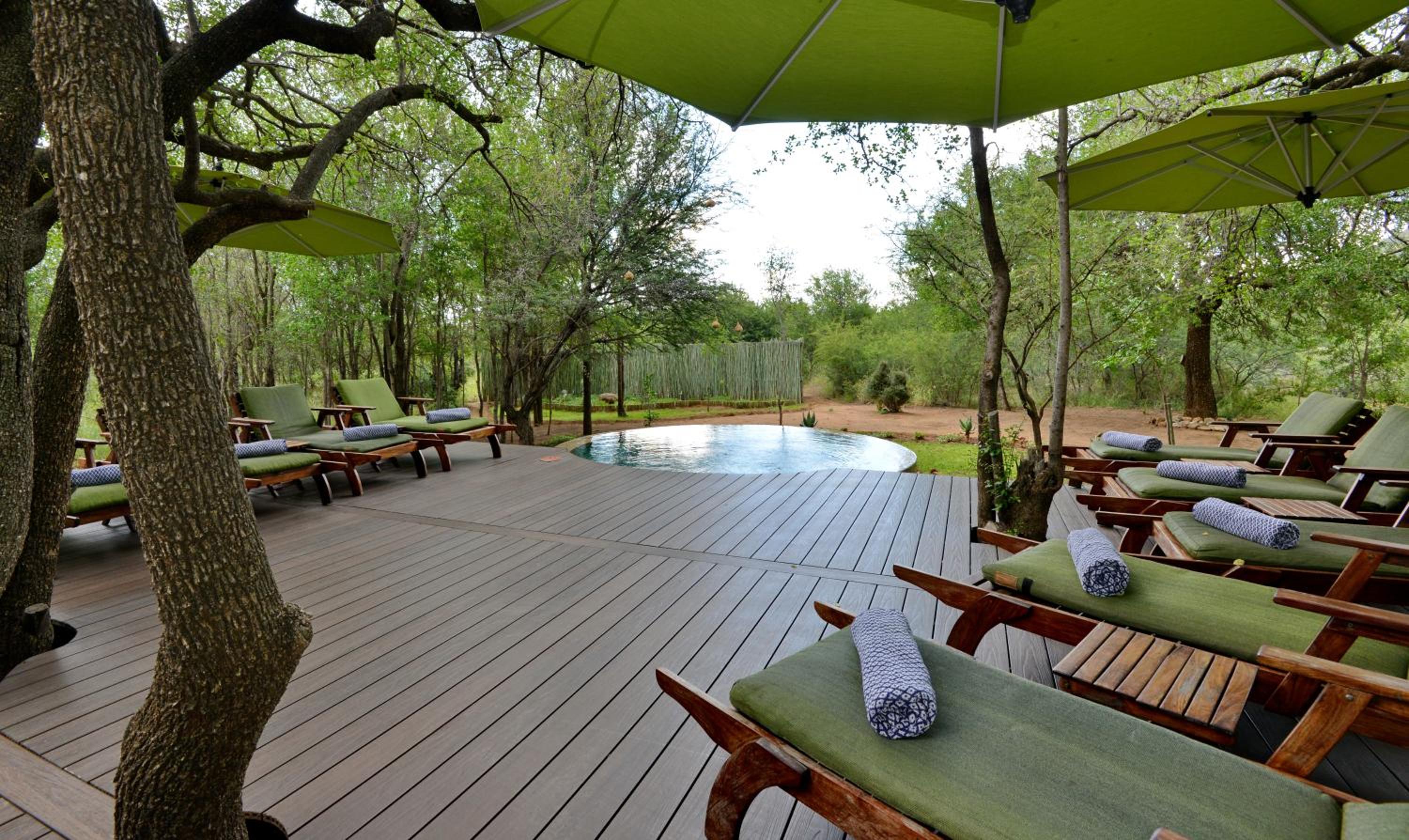 Tambuti Lodge