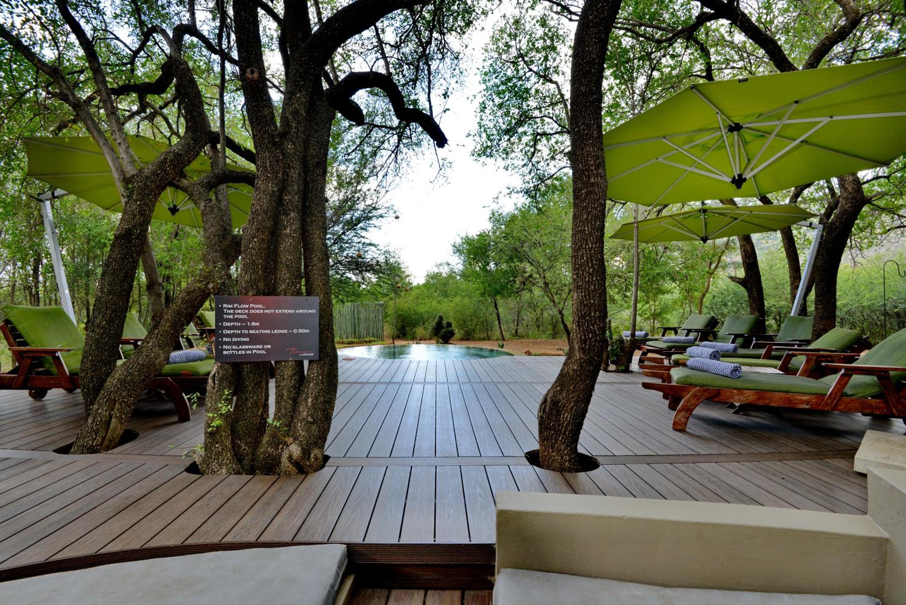 Tambuti Lodge