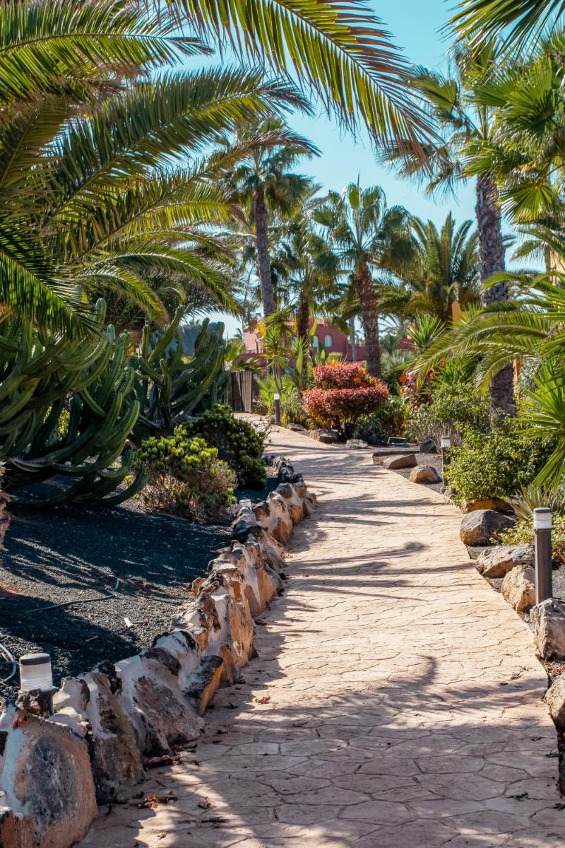 garden