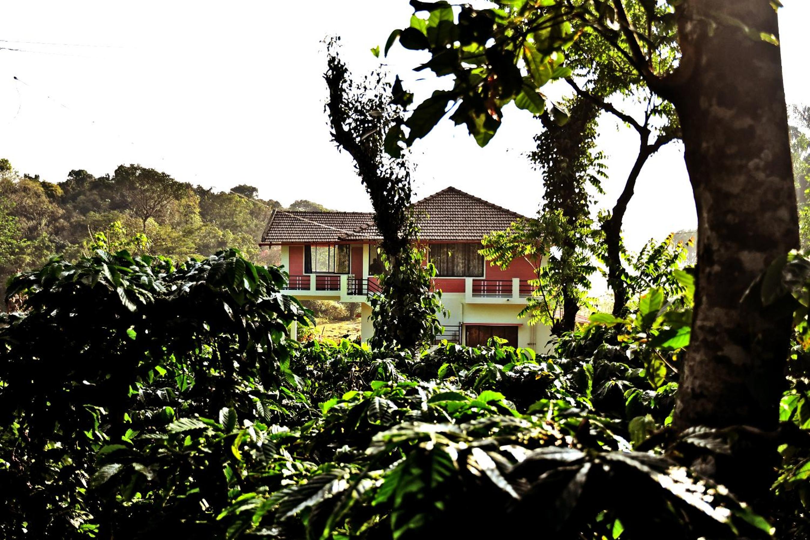 Sirimane Homestay - Water Activities, Home Food, Trek & falls