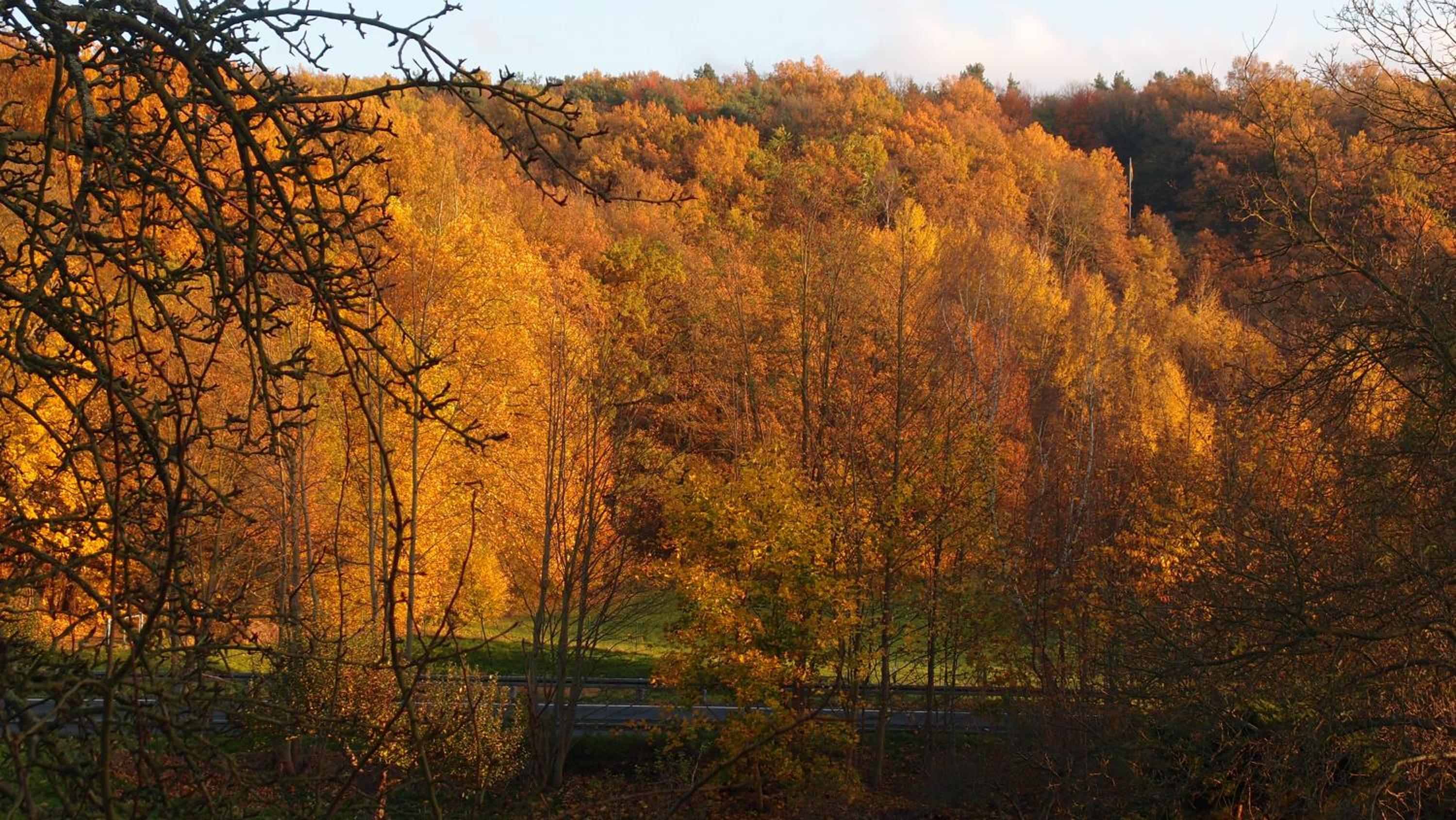 Ferienwohnung und Pension 