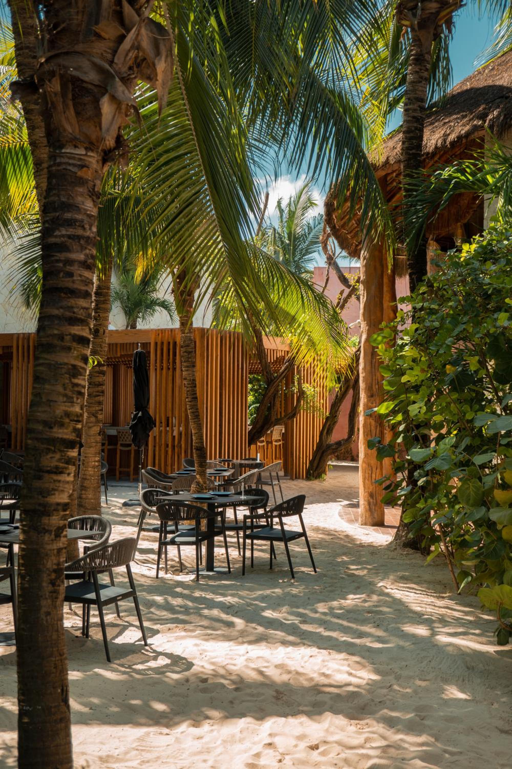 Tago Tulum by G Hotels - Property Image 83