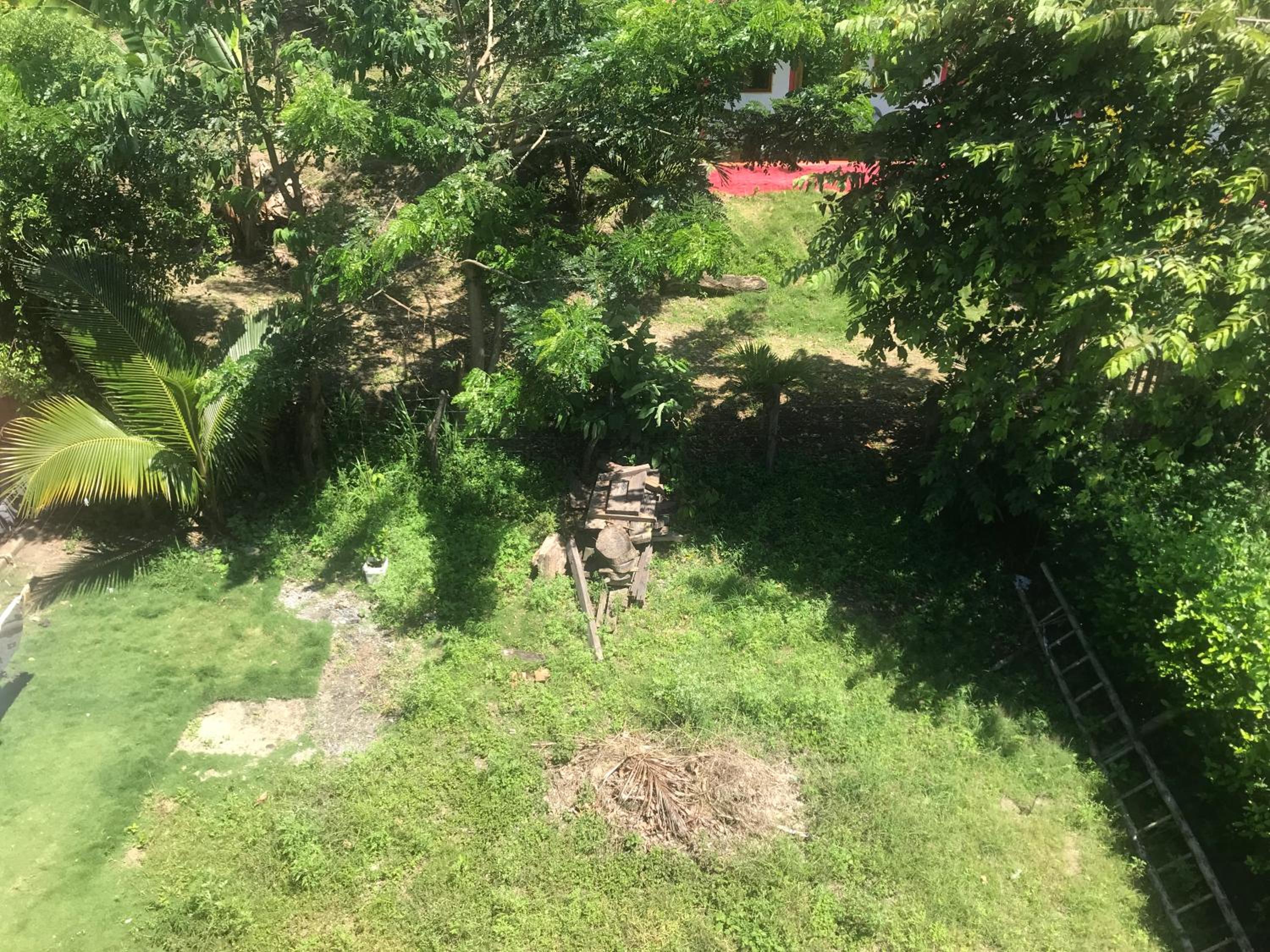 Photo 34