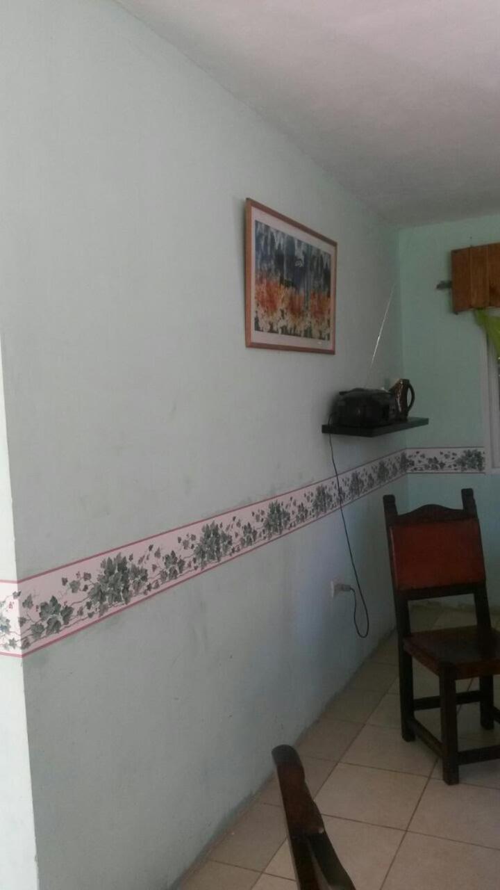 Las golondrinas