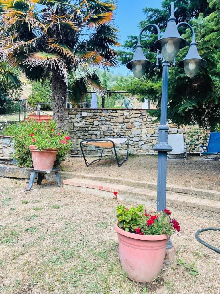 Cortona Vacations - Casa Le Celle - Property Image 22