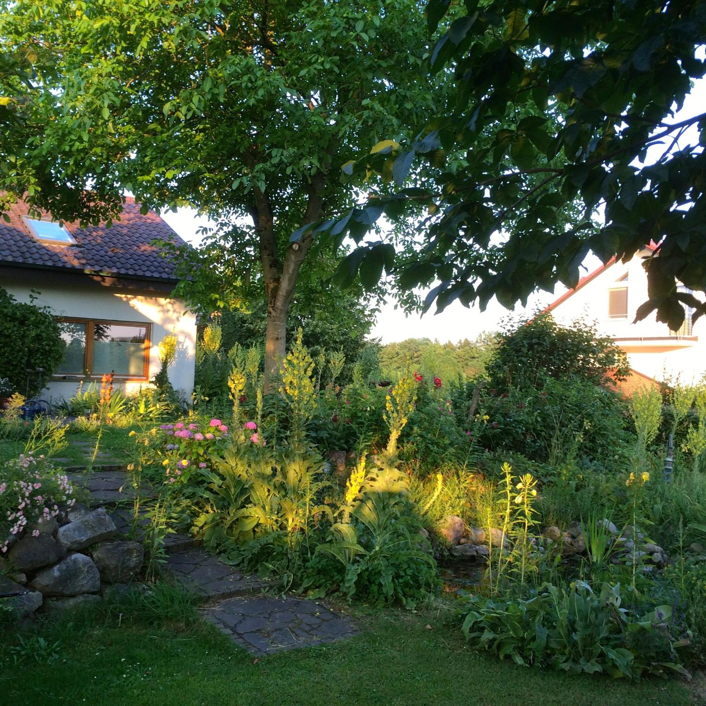 Photo 29