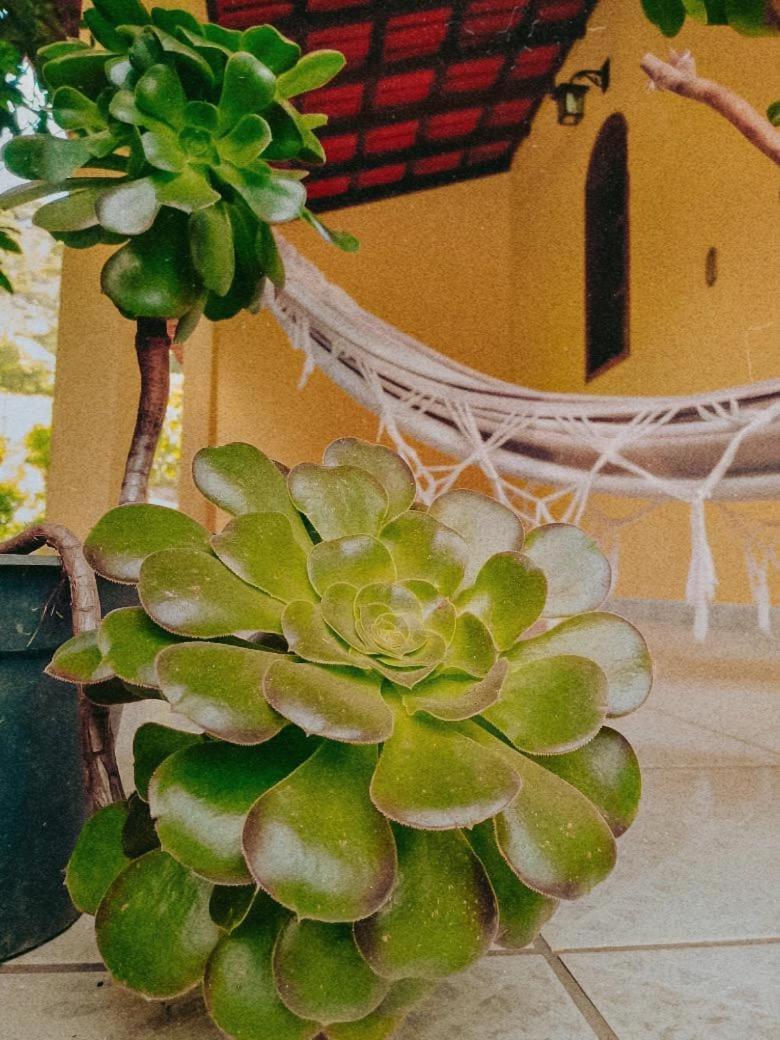 Casa com Flores