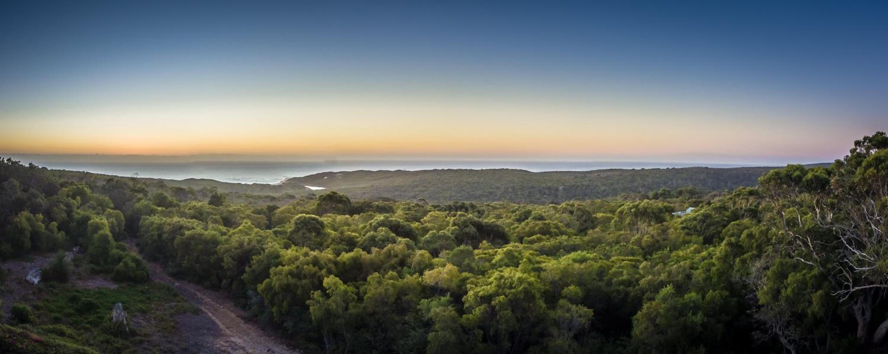 Horizons House - spacious, ocean + bush views, peaceful
