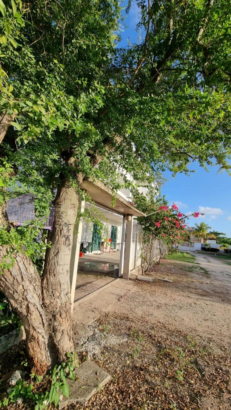 Solar Teixeira FLATS