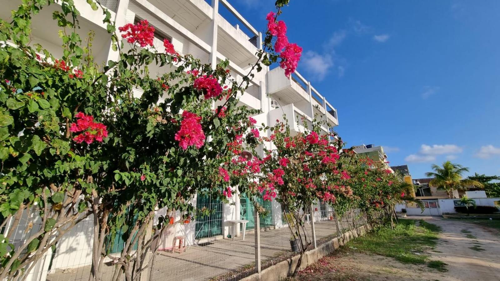 Solar Teixeira FLATS - Image 4