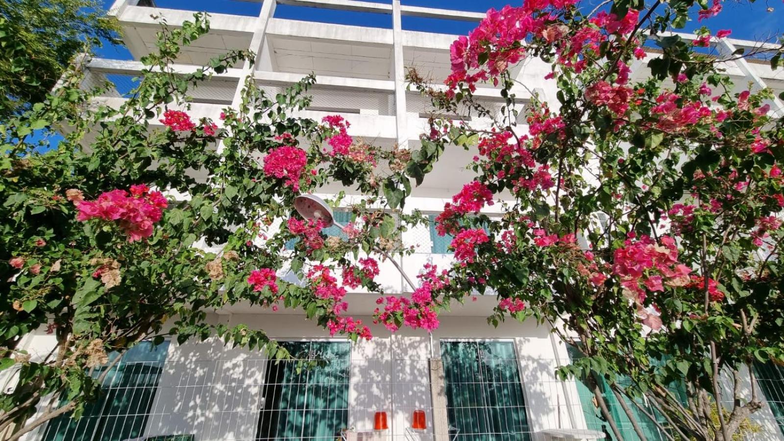 Solar Teixeira FLATS