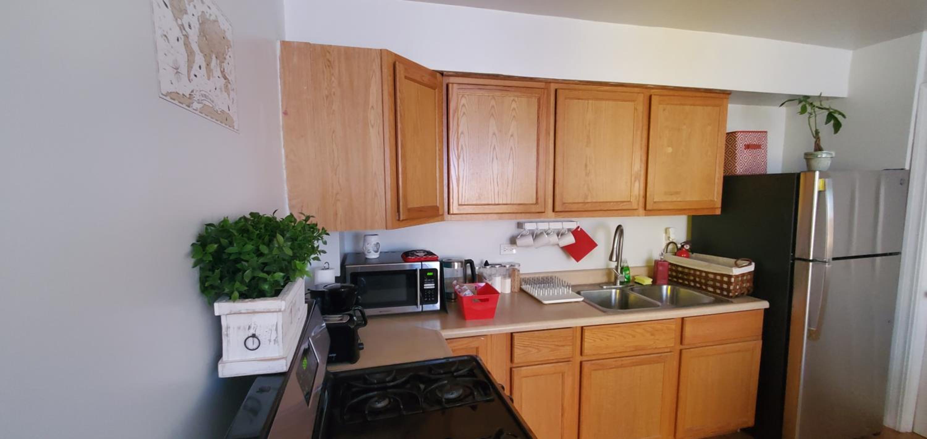 Cozy 1 bedroom, 1 min from Irving Park Blue line, free parking photo 4