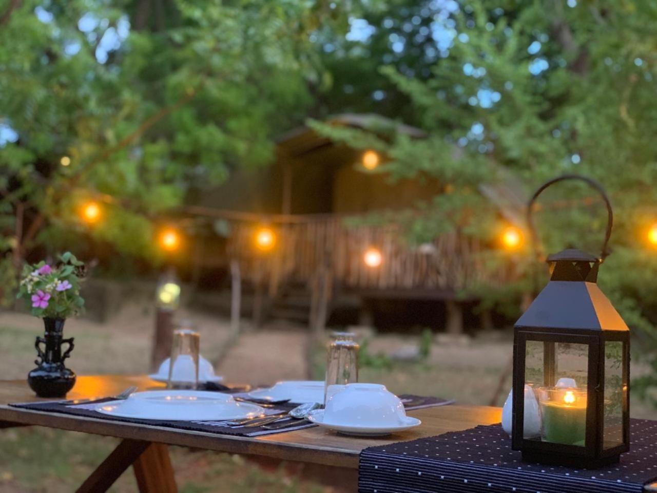 Camp Leopard - Yala Safari Glamping