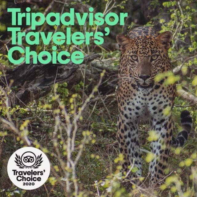 Camp Leopard - Yala Safari Glamping