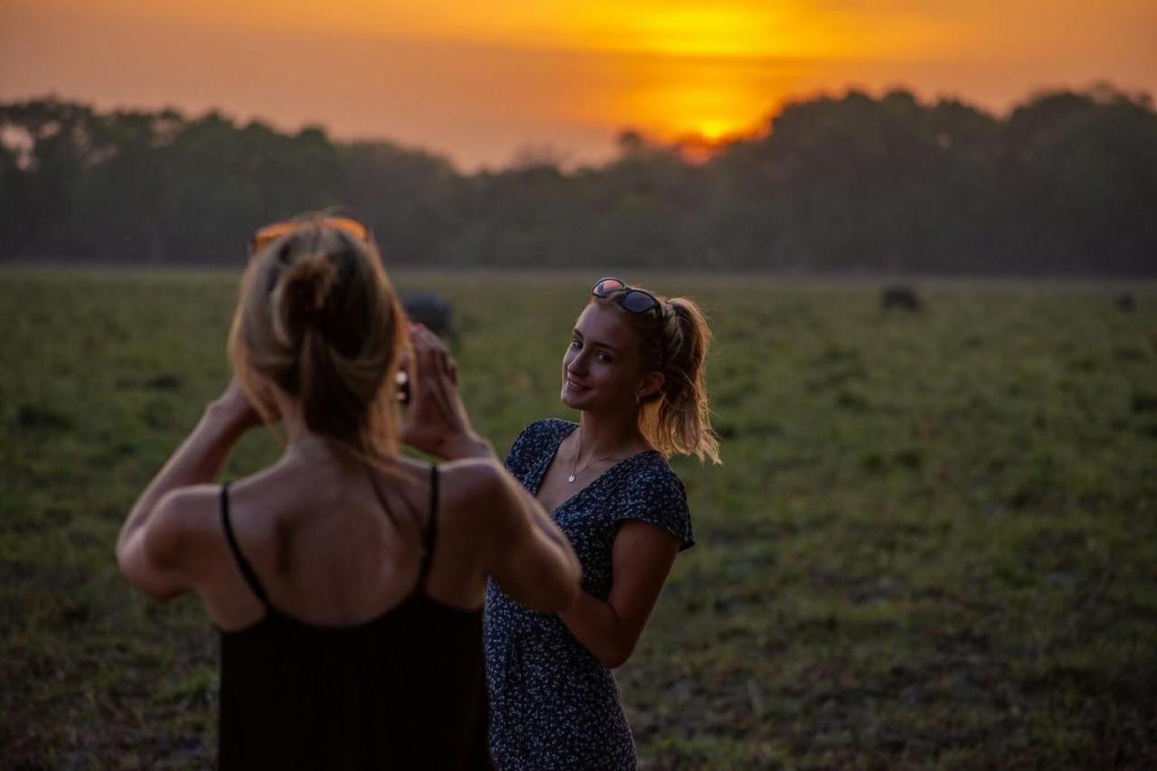Camp Leopard - Yala Safari Glamping