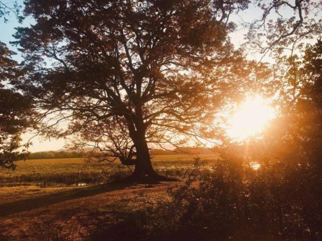 Camp Leopard - Yala Safari Glamping