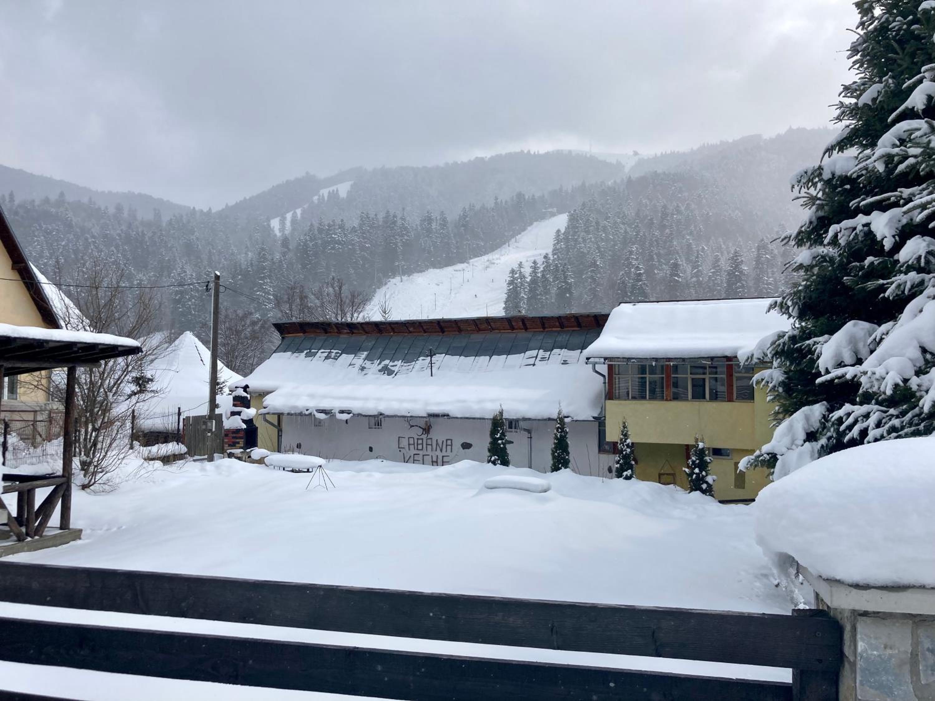 Chalet Azuga